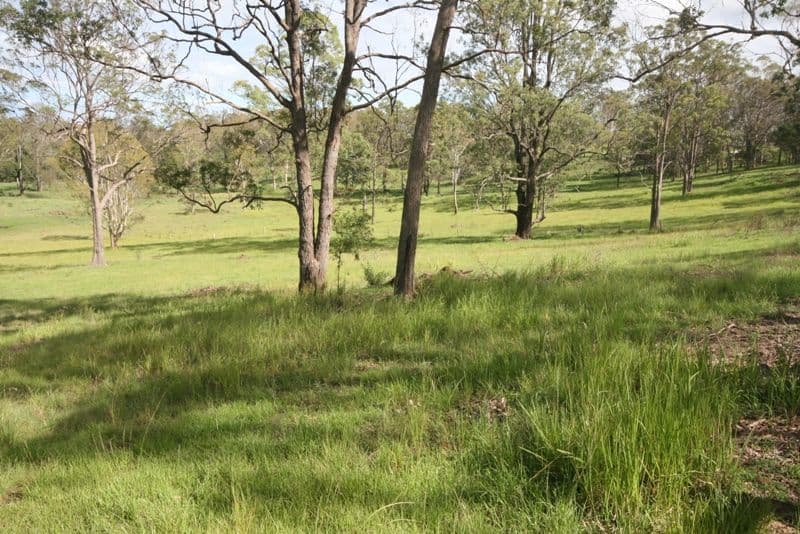  639 Lower Kangaroo Creek Road, KANGAROO CREEK NSW 2460, Kangaroo Creek - Thumbnail 2