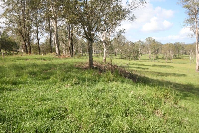  639 Lower Kangaroo Creek Road, KANGAROO CREEK NSW 2460, Kangaroo Creek - Thumbnail 3