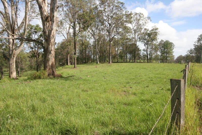  639 Lower Kangaroo Creek Road, KANGAROO CREEK NSW 2460, Kangaroo Creek - Thumbnail 4