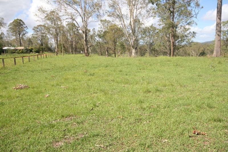 639 Lower Kangaroo Creek Road, KANGAROO CREEK NSW 2460, Kangaroo Creek - Thumbnail 6