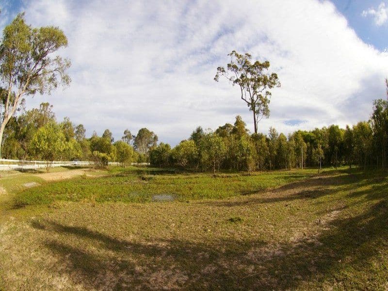88 Priest Road, DECEPTION BAY QLD 4508, Deception Bay - Thumbnail 6