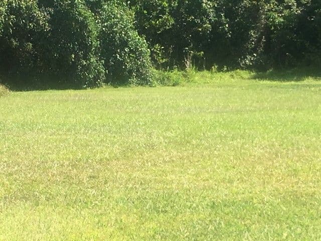 21 Oceanview Drive, Wongaling Beach QLD 4852, Wongaling Beach - Thumbnail 2