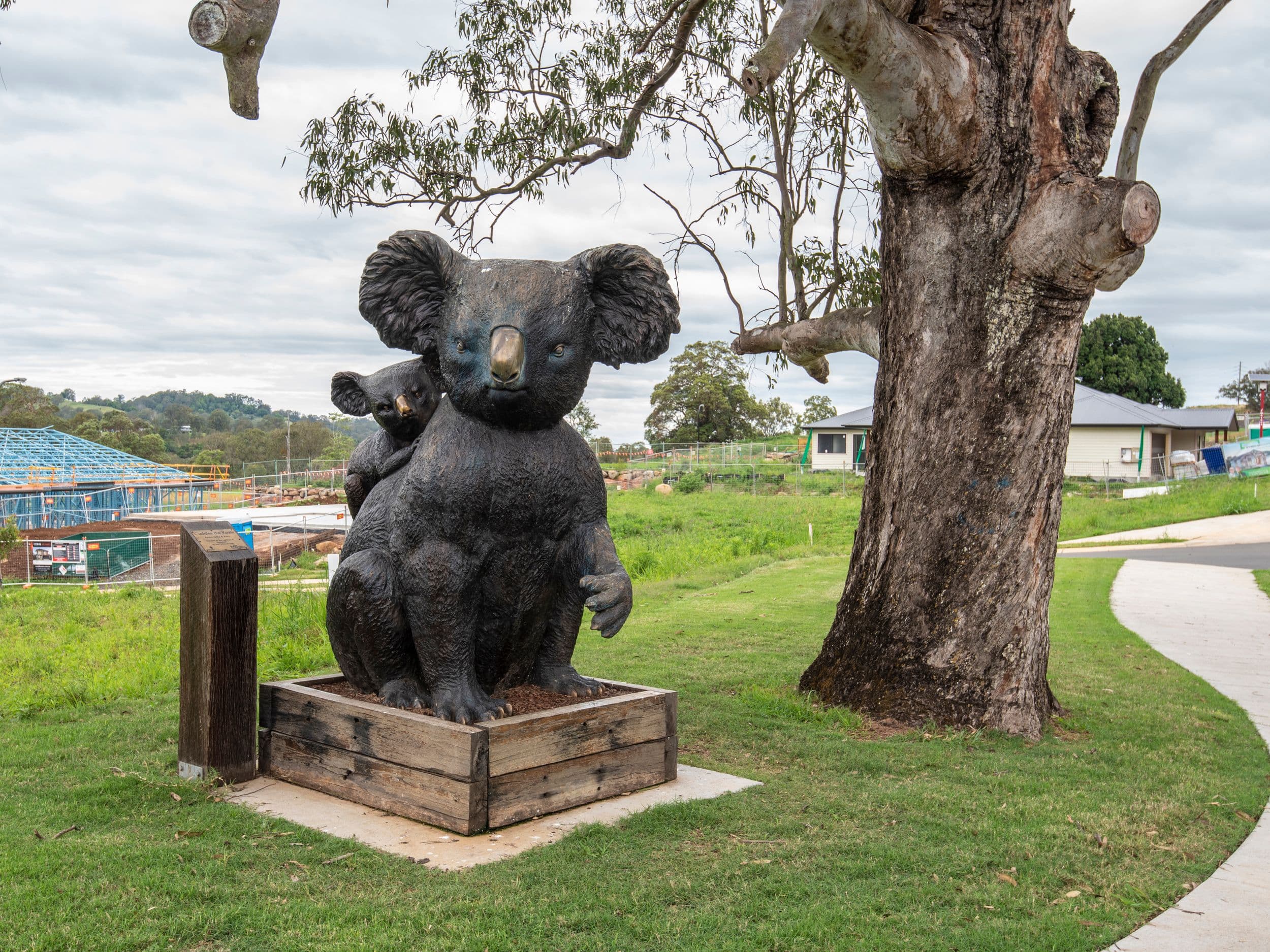 5 Sawyers Avenue, Goonellabah NSW 2480, Goonellabah - Thumbnail 4
