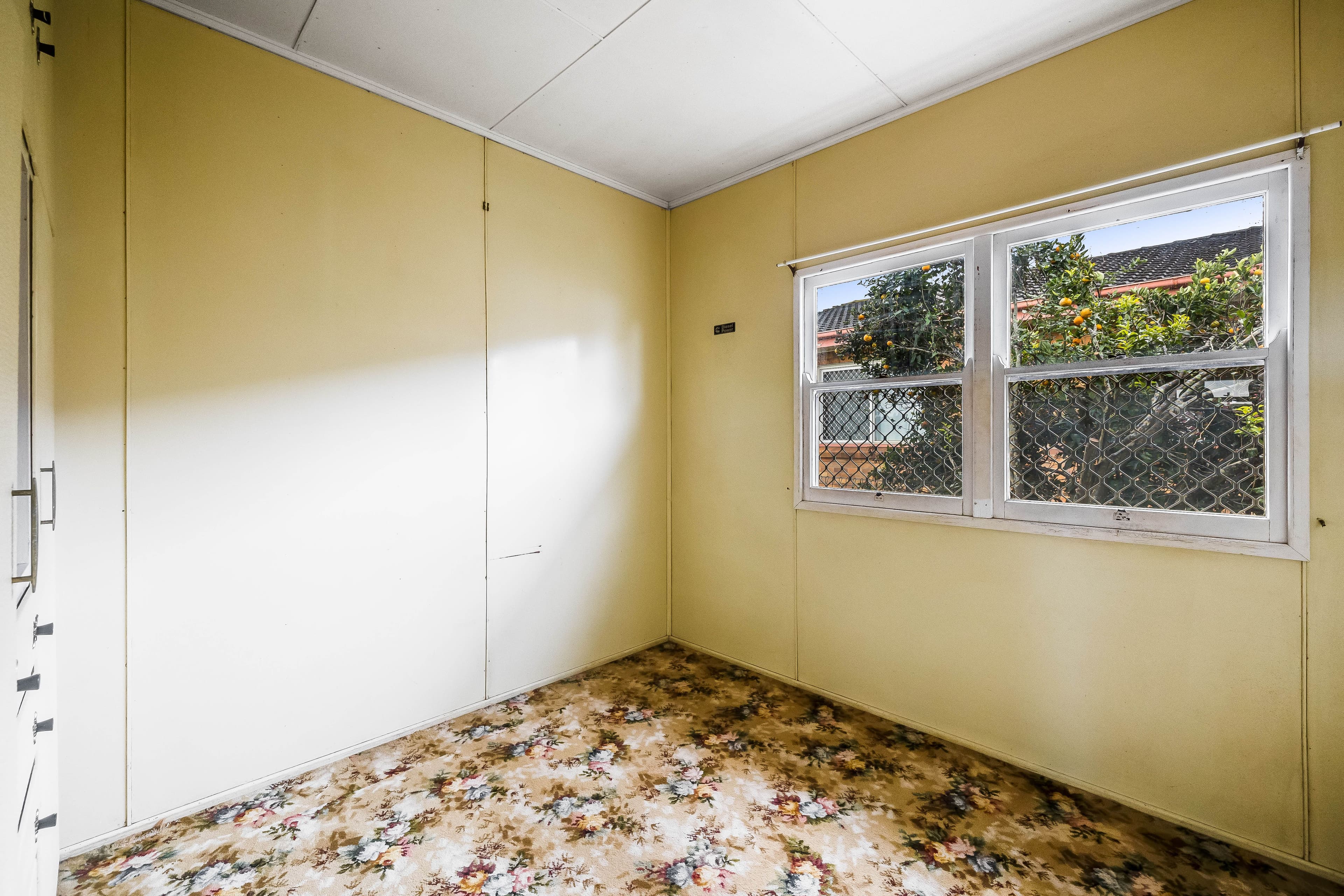 5a Welcombe Avenue, Rockville QLD 4350, Rockville - Thumbnail 7