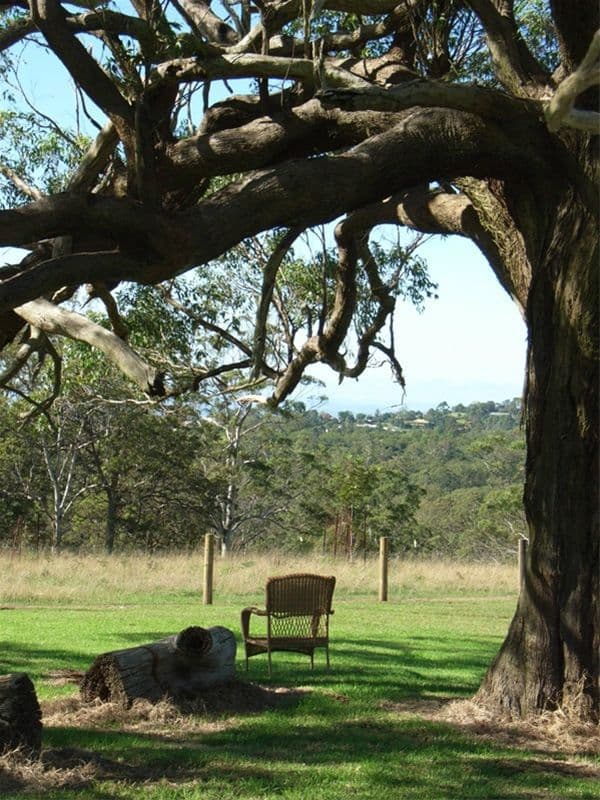 11 Bradys Road, HIGHFIELDS QLD 4352, Highfields - Thumbnail 6
