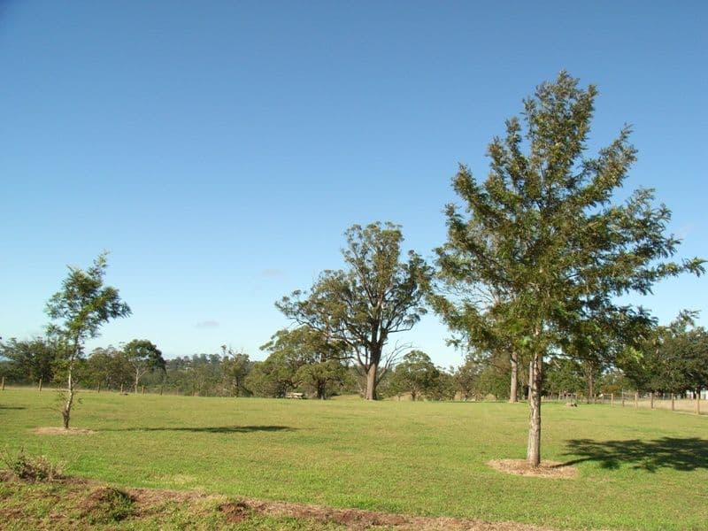 11 Bradys Road, HIGHFIELDS QLD 4352, Highfields - Thumbnail 8