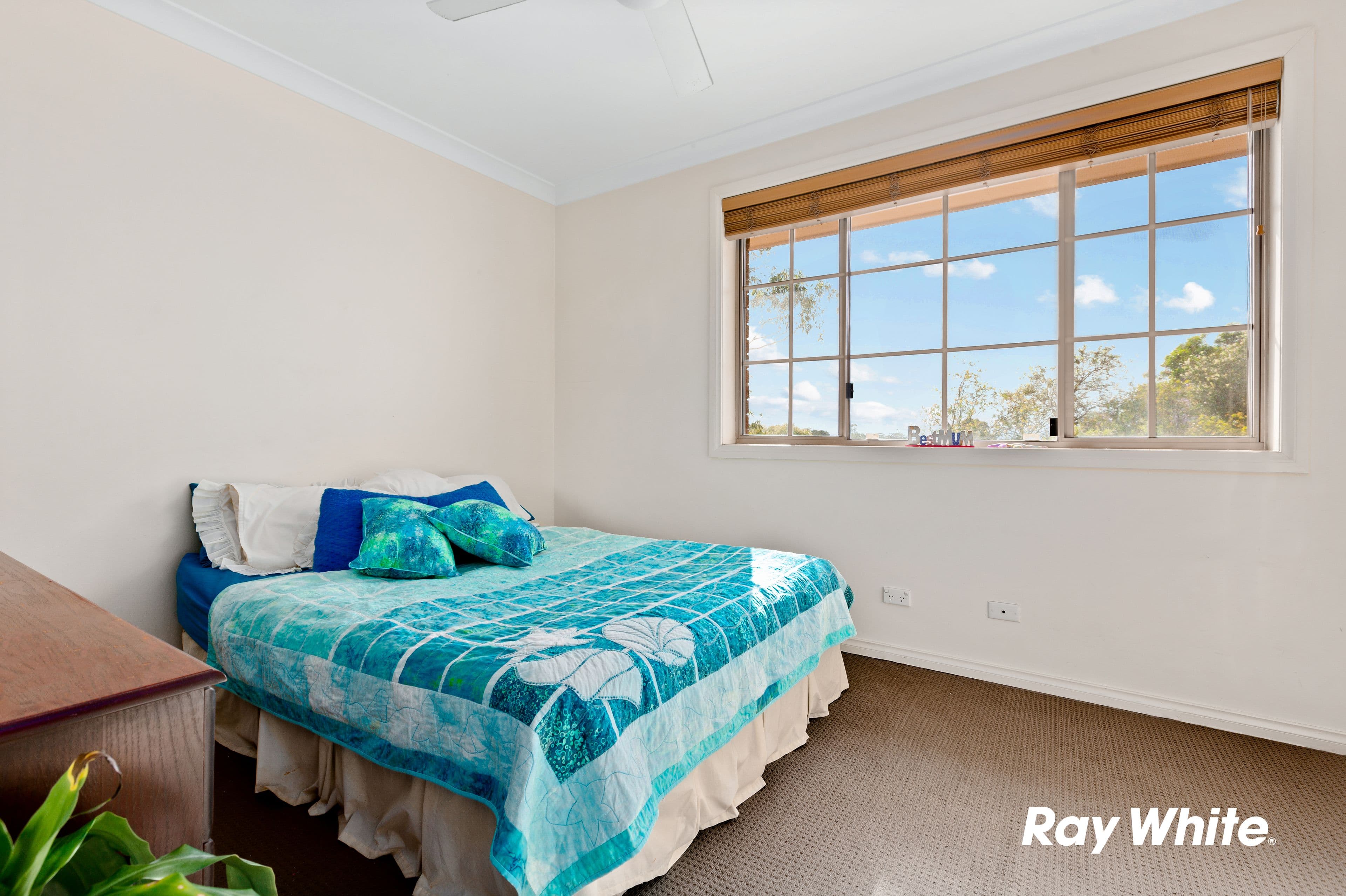19 Torrance Crescent, Quakers Hill NSW 2763, Quakers Hill - Thumbnail 3