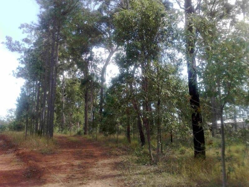 GLENWOOD QLD 4570, Glenwood - Image 1
