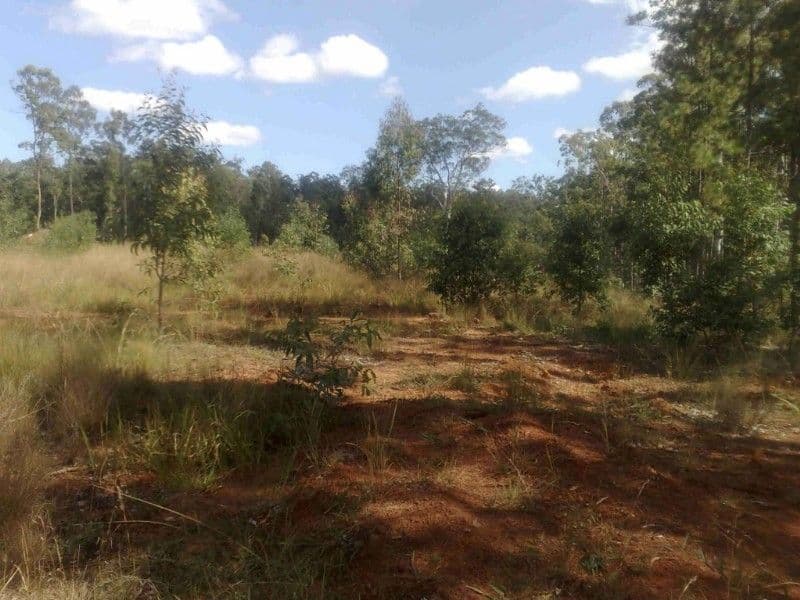 GLENWOOD QLD 4570, Glenwood - Thumbnail 3