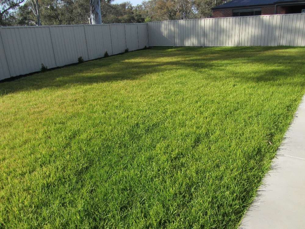 13 Pech Street, JINDERA NSW 2642, Jindera - Thumbnail 8