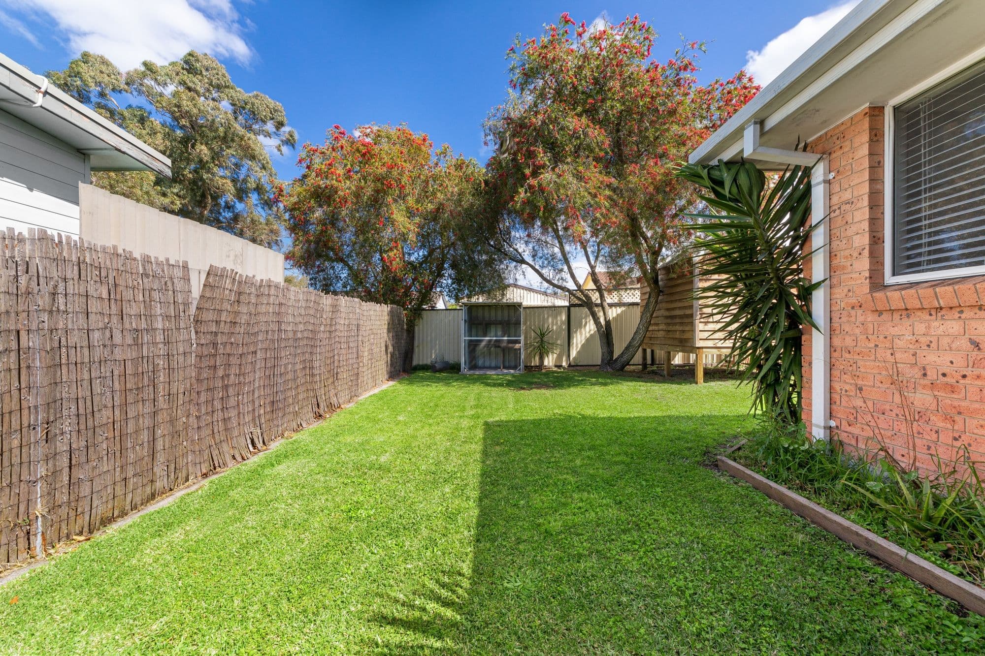 12 Wentworth Avenue, Doyalson NSW 2262, Doyalson - Thumbnail 2
