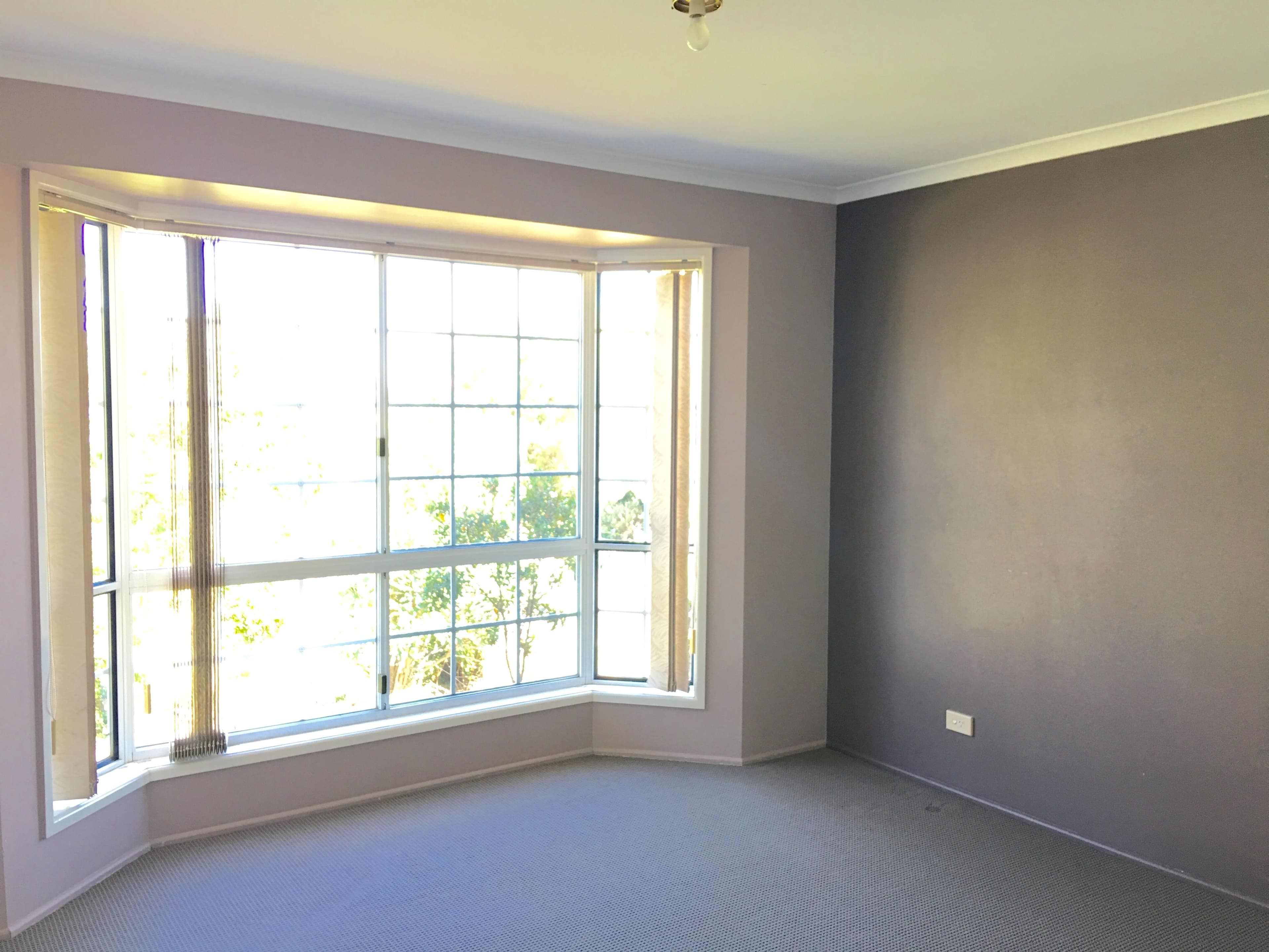 11 Giltrow Court, Darling Heights QLD 4350, Darling Heights - Thumbnail 5
