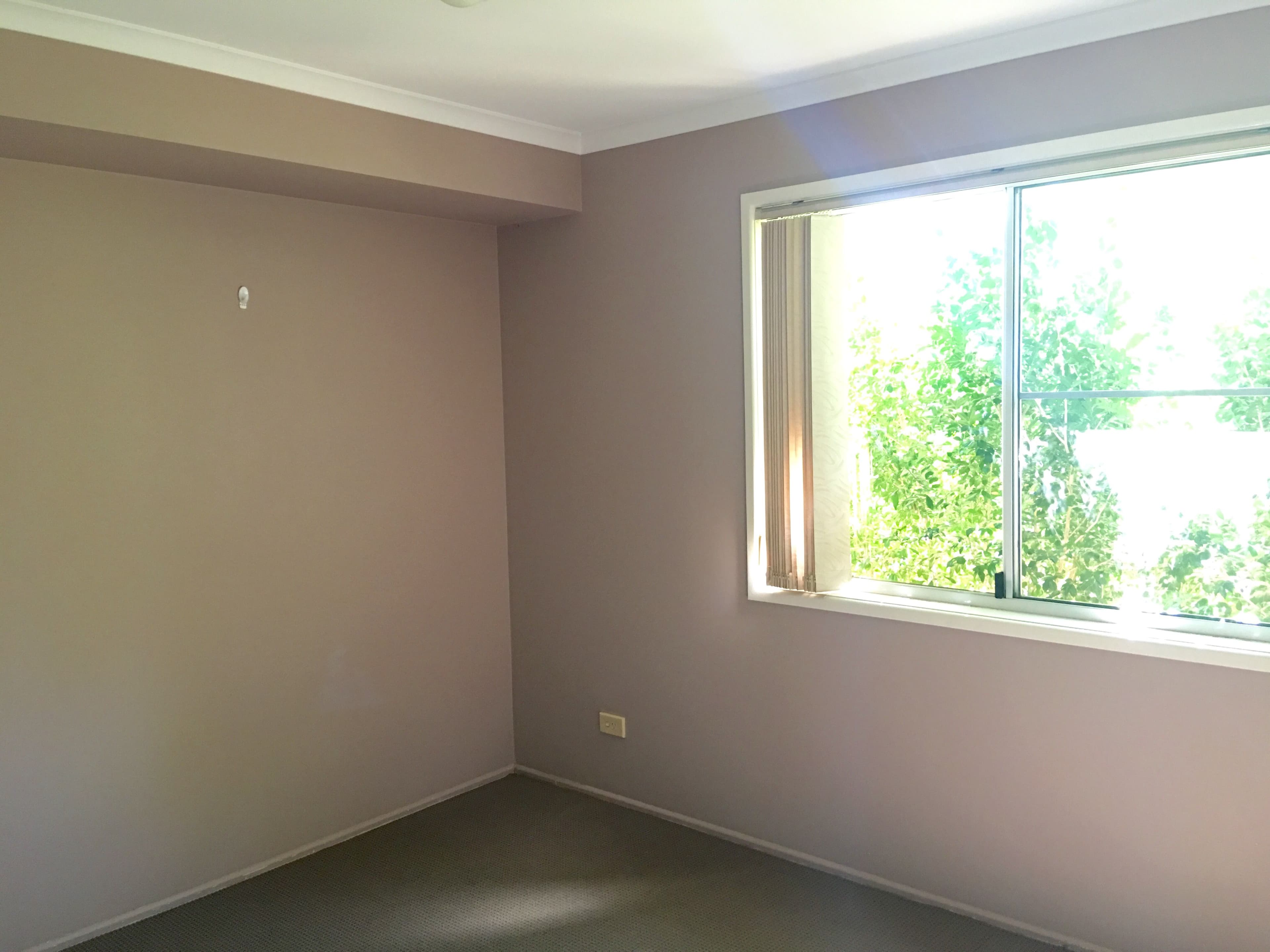 11 Giltrow Court, Darling Heights QLD 4350, Darling Heights - Thumbnail 6