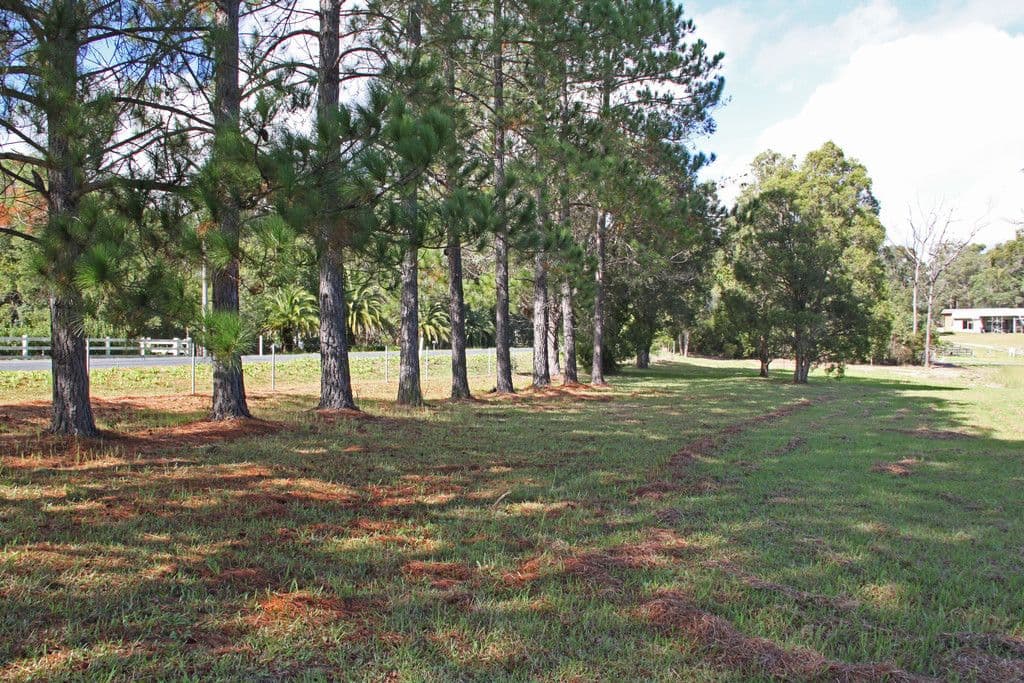 2 Manuka Parkway, King Creek NSW 2446, King Creek - Thumbnail 5
