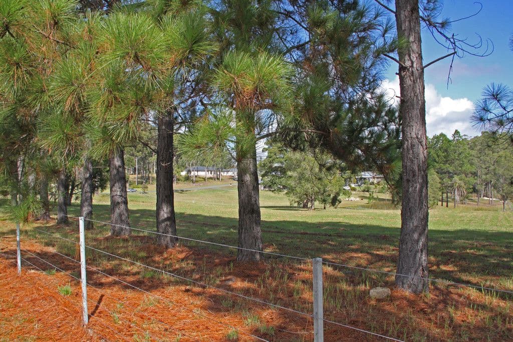 2 Manuka Parkway, King Creek NSW 2446, King Creek - Thumbnail 6