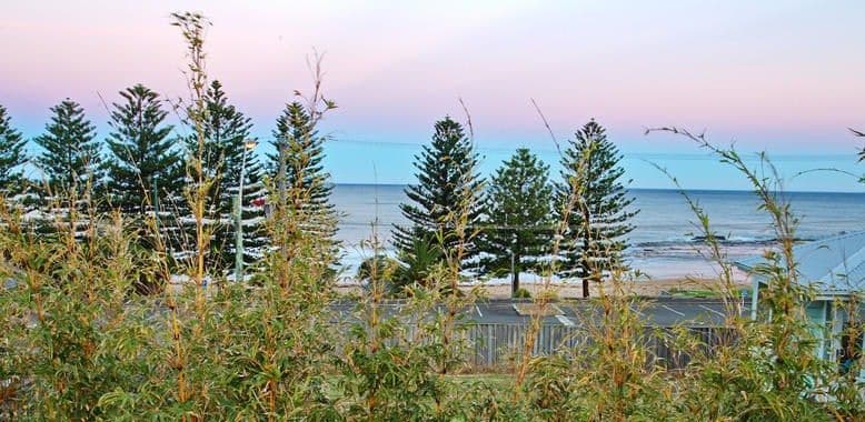 55 Squires Crescent, COLEDALE NSW 2515, Coledale - Thumbnail 4