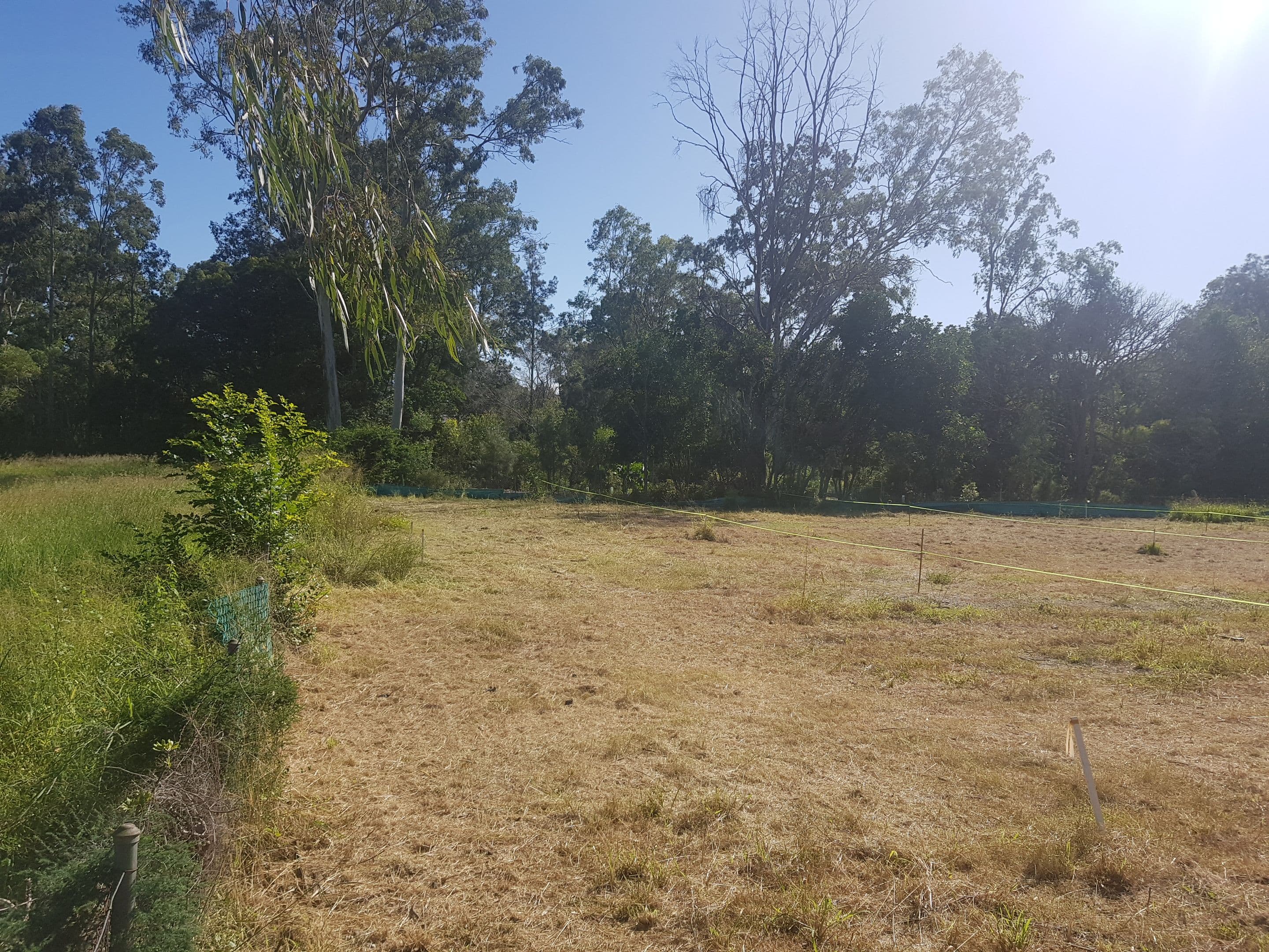 Lot 1, 266 Beenleigh Road, Sunnybank QLD 4109, Sunnybank - Thumbnail 5