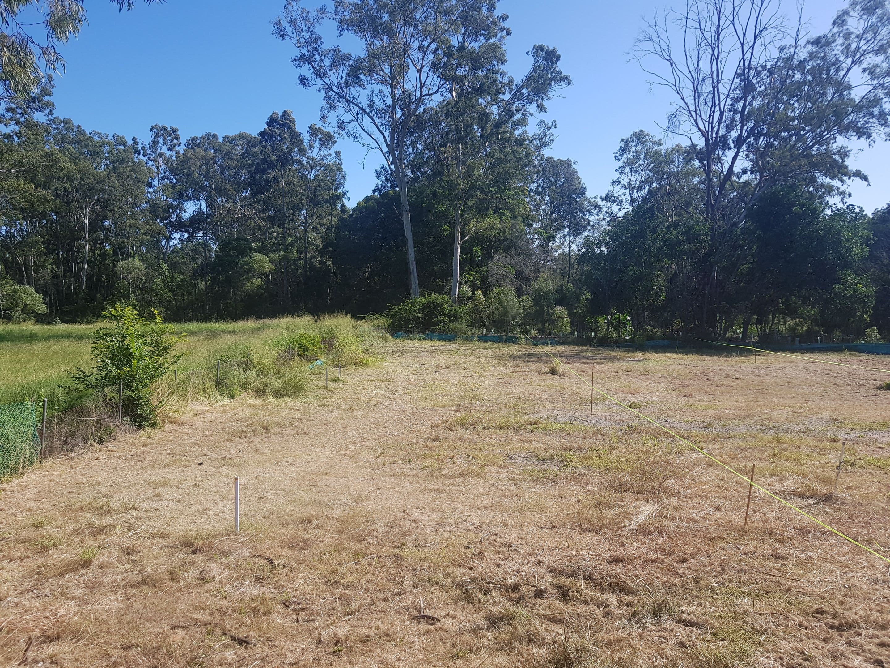 Lot 1, 266 Beenleigh Road, Sunnybank QLD 4109, Sunnybank - Thumbnail 6