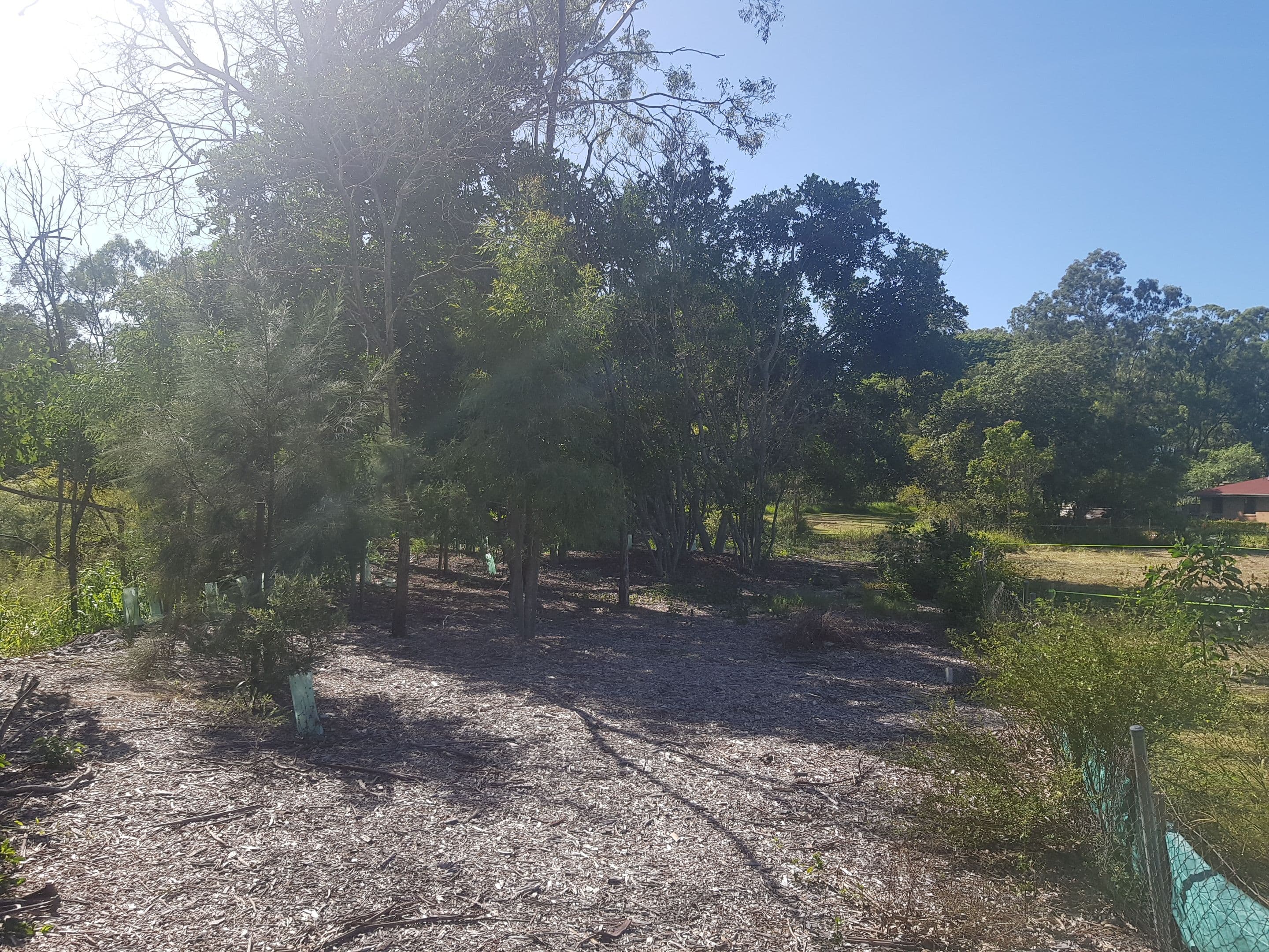 Lot 1, 266 Beenleigh Road, Sunnybank QLD 4109, Sunnybank - Thumbnail 7