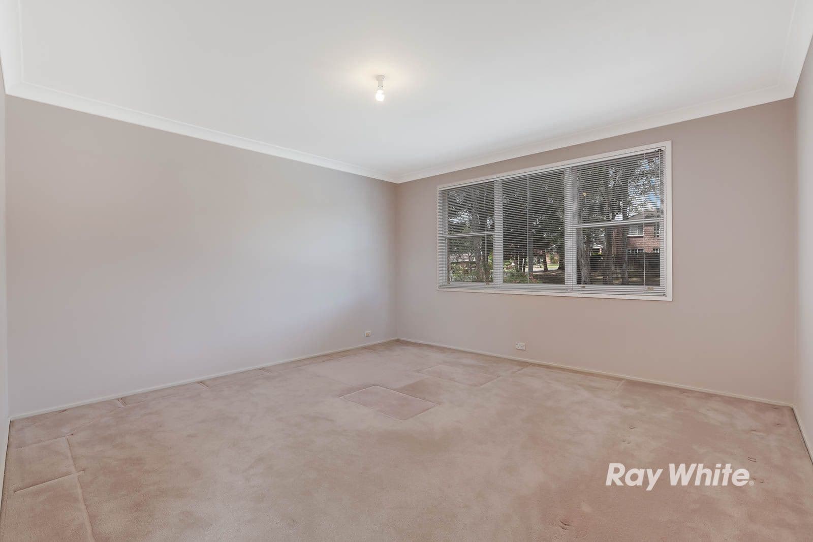 31 Cambewarra Avenue, Castle Hill - Thumbnail 8