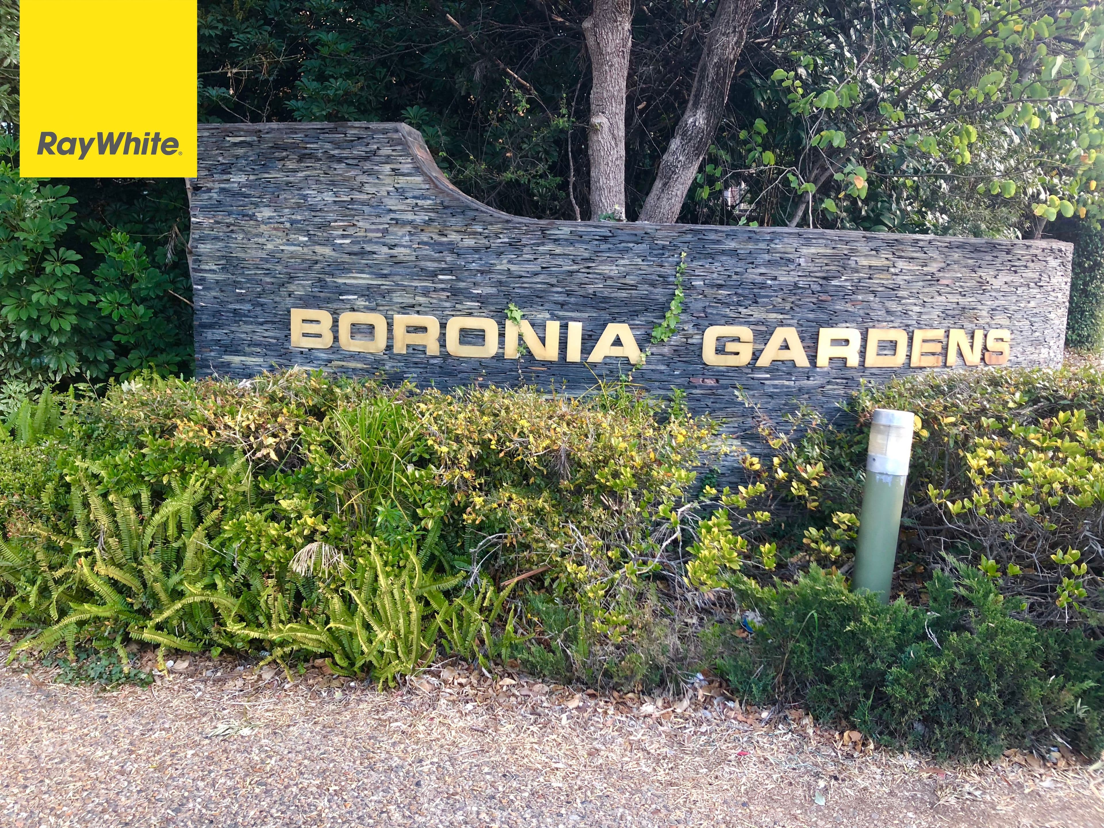 19 Carlingford Road, Epping NSW 2121, Epping - Thumbnail 4