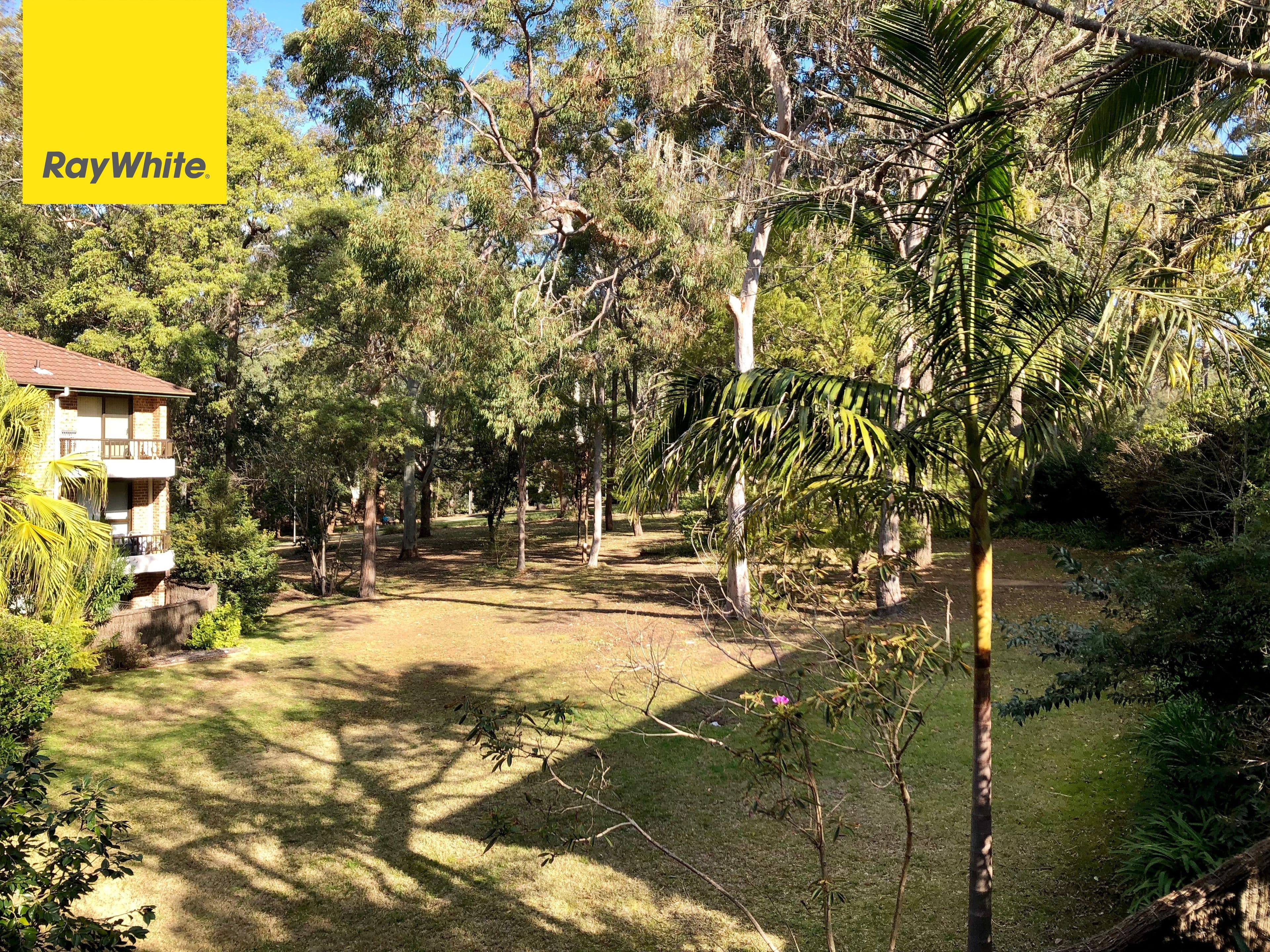 19 Carlingford Road, Epping NSW 2121, Epping - Thumbnail 5
