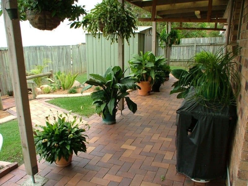7 Lowmead Road, UNDERWOOD QLD 4119, Underwood - Thumbnail 5