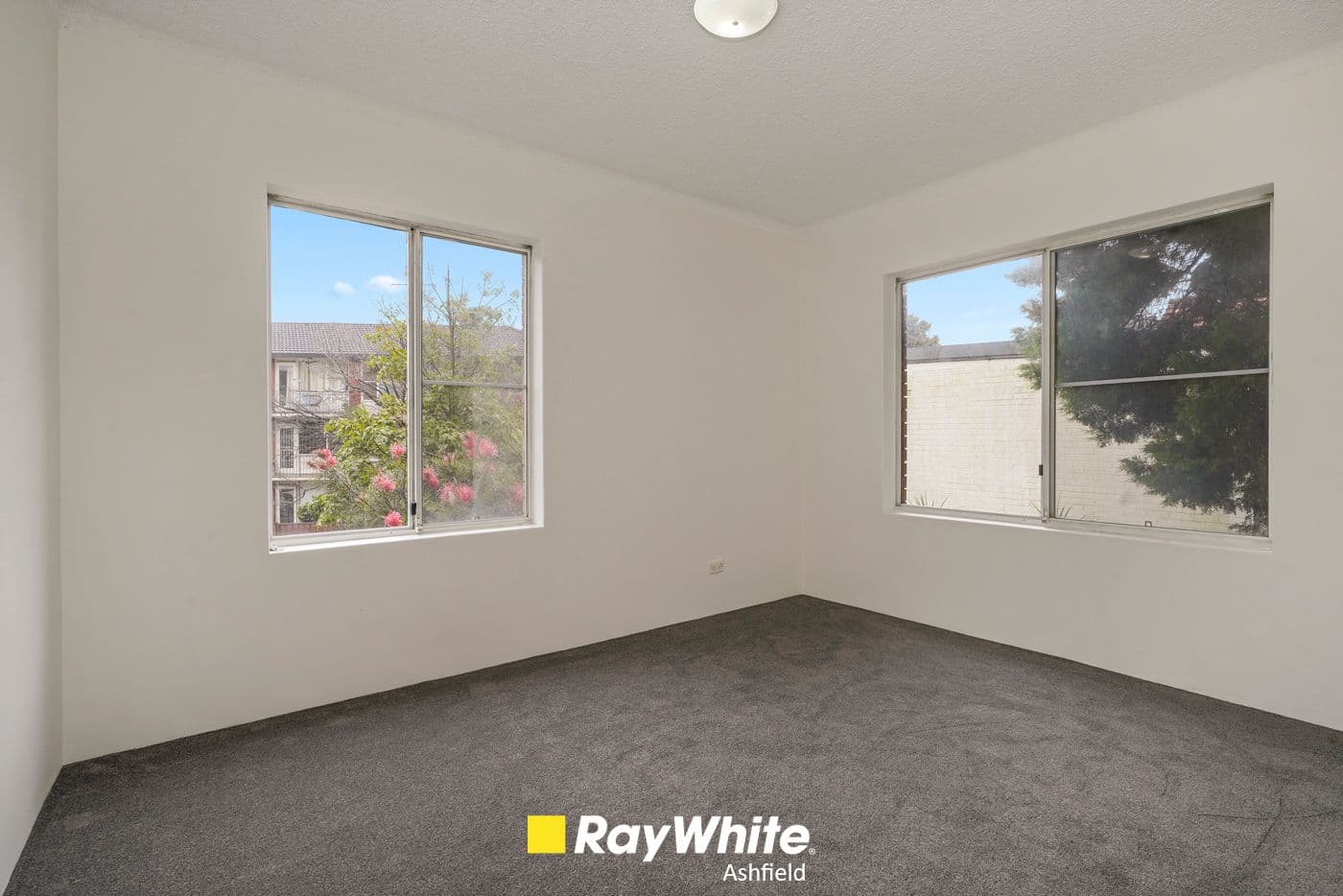 8 Chandos Street, Ashfield NSW 2131, Ashfield - Thumbnail 6