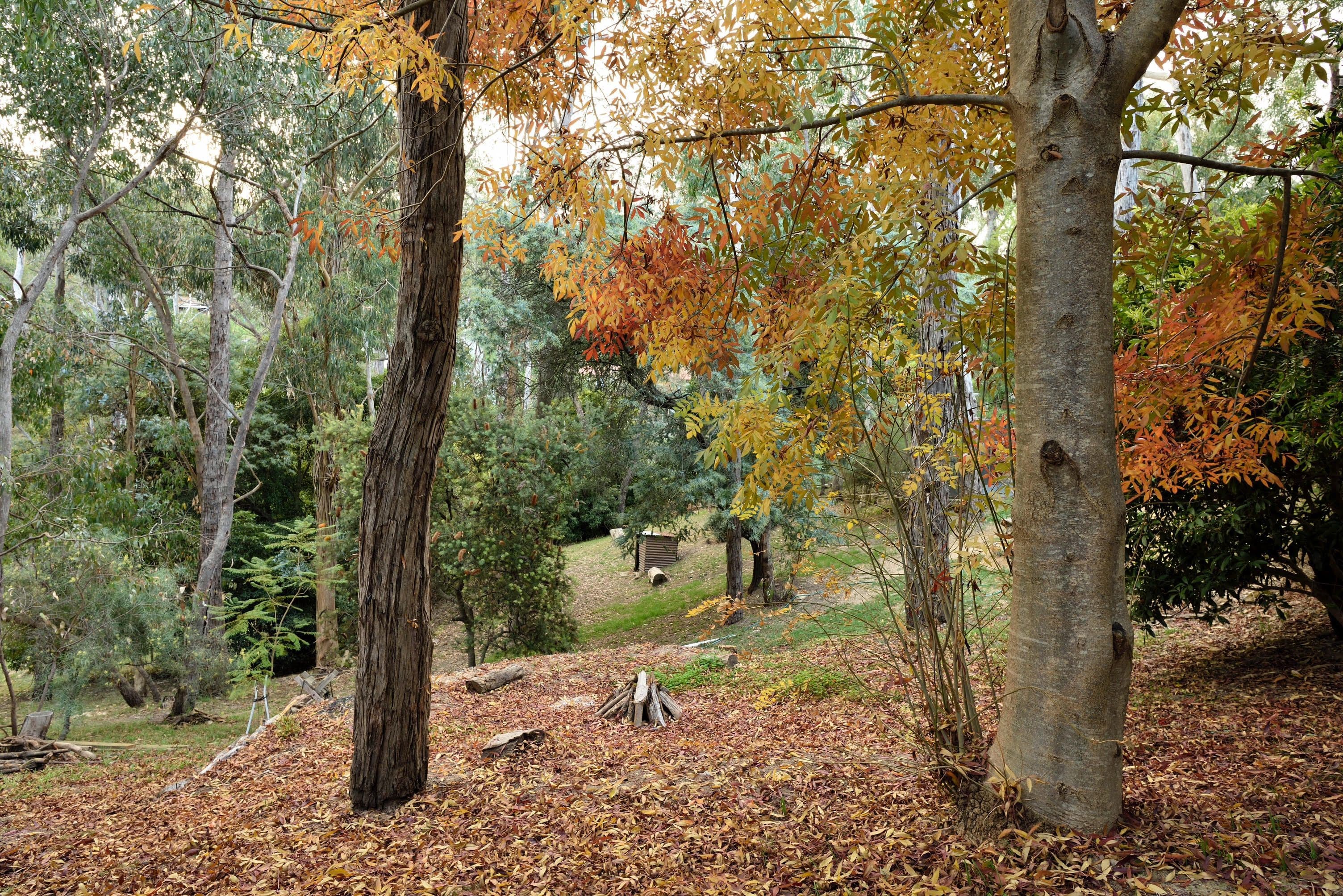 16 Wychwood Grove, Upper Sturt SA 5156, Upper Sturt - Thumbnail 2