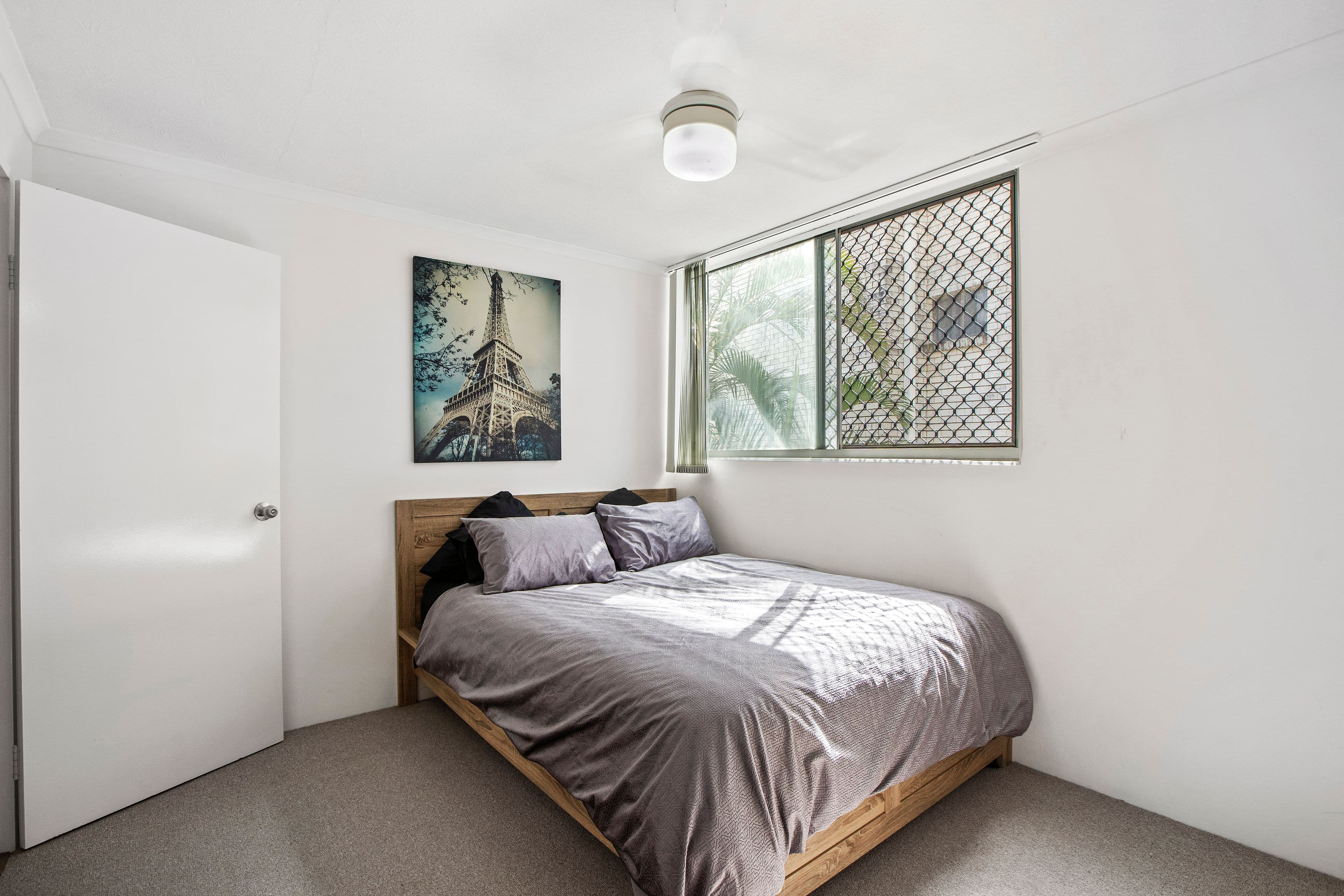 93 Iluka Avenue, Buddina QLD 4575, Buddina - Thumbnail 6