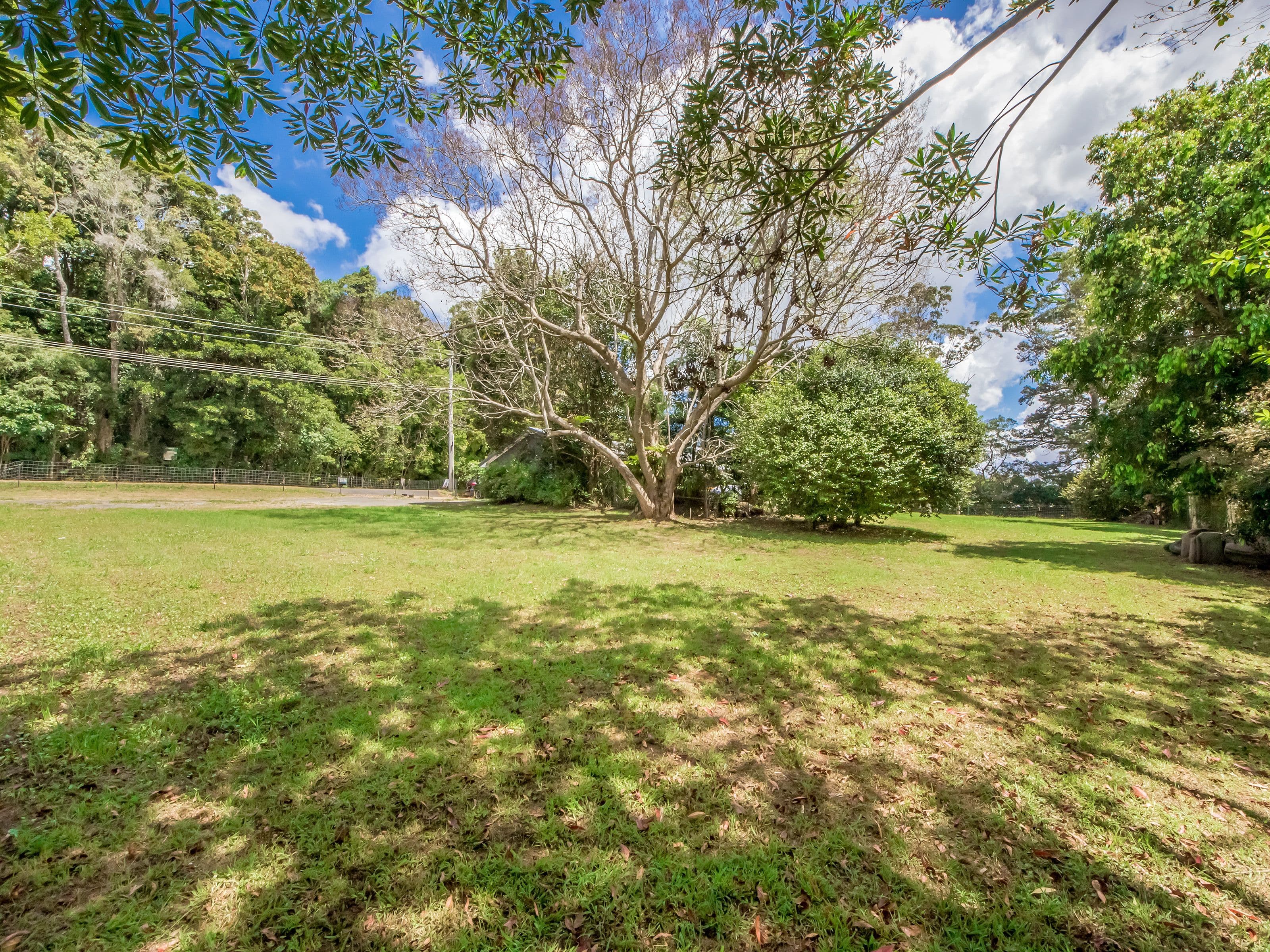 86 Eagle Heights Road, Tamborine Mountain QLD 4272, Tamborine Mountain - Thumbnail 3