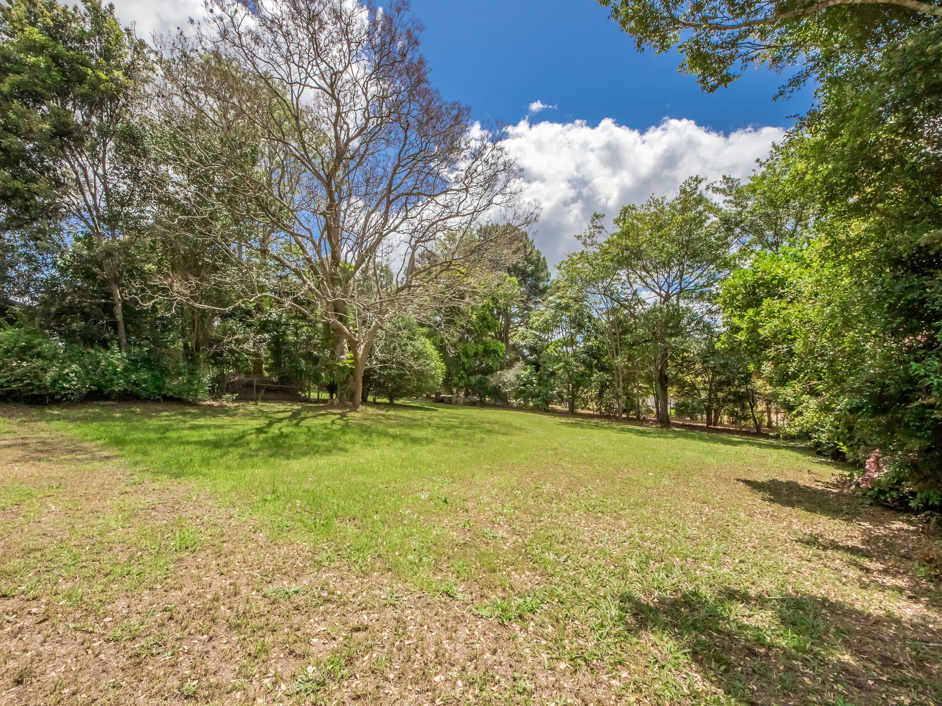 86 Eagle Heights Road, Tamborine Mountain QLD 4272, Tamborine Mountain - Thumbnail 6