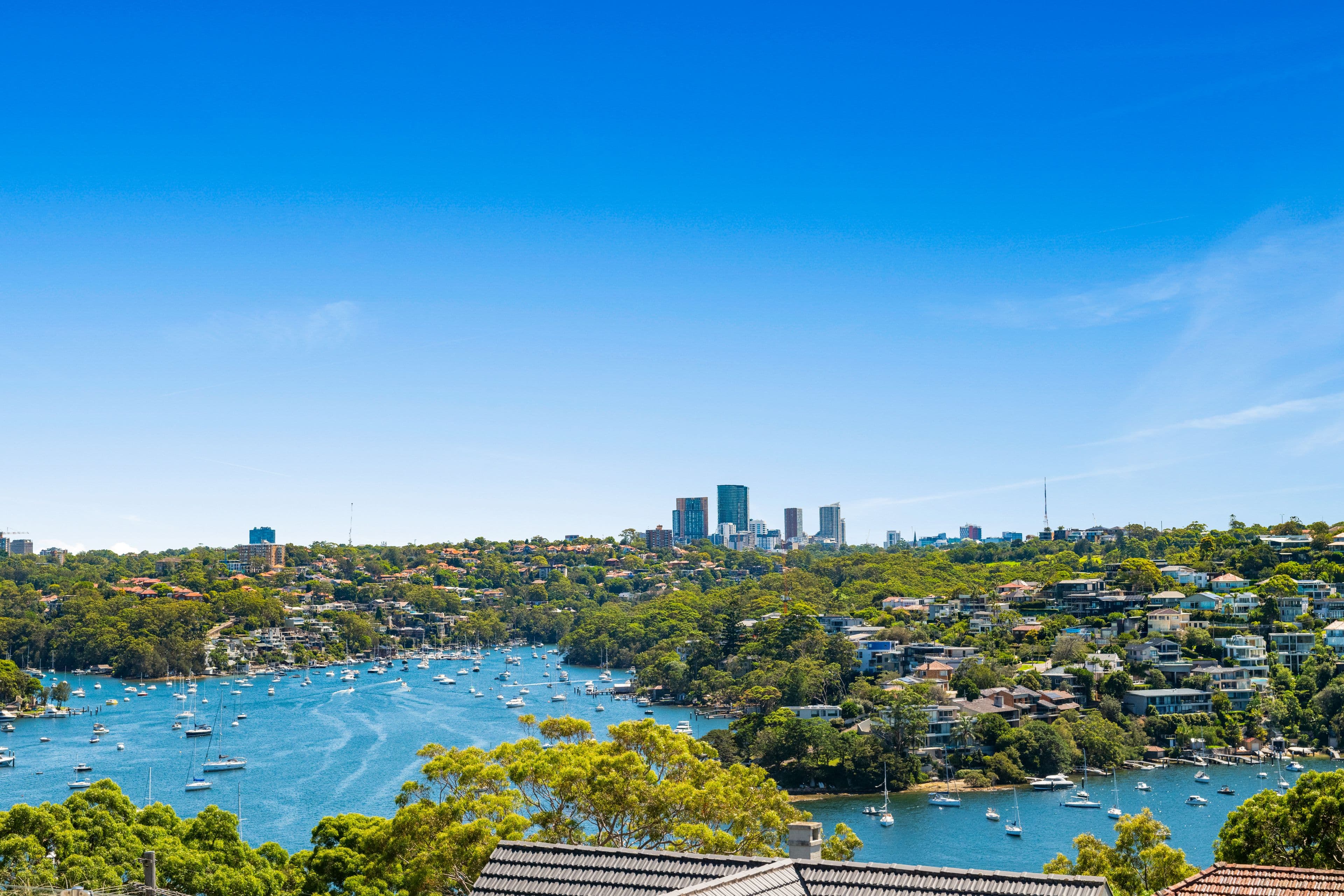 38 Euryalus Street, Mosman NSW 2088, Mosman - Thumbnail 4