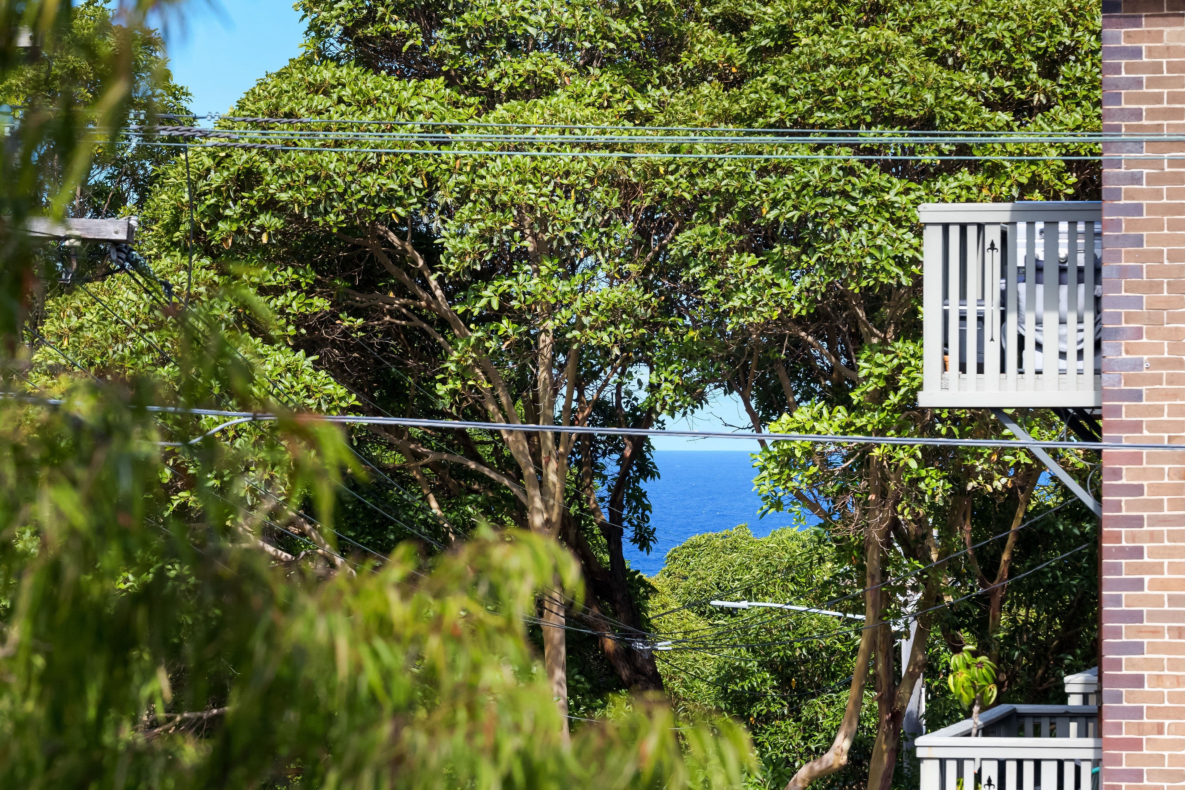 92 Mount Street, Coogee NSW 2034, Coogee - Thumbnail 5
