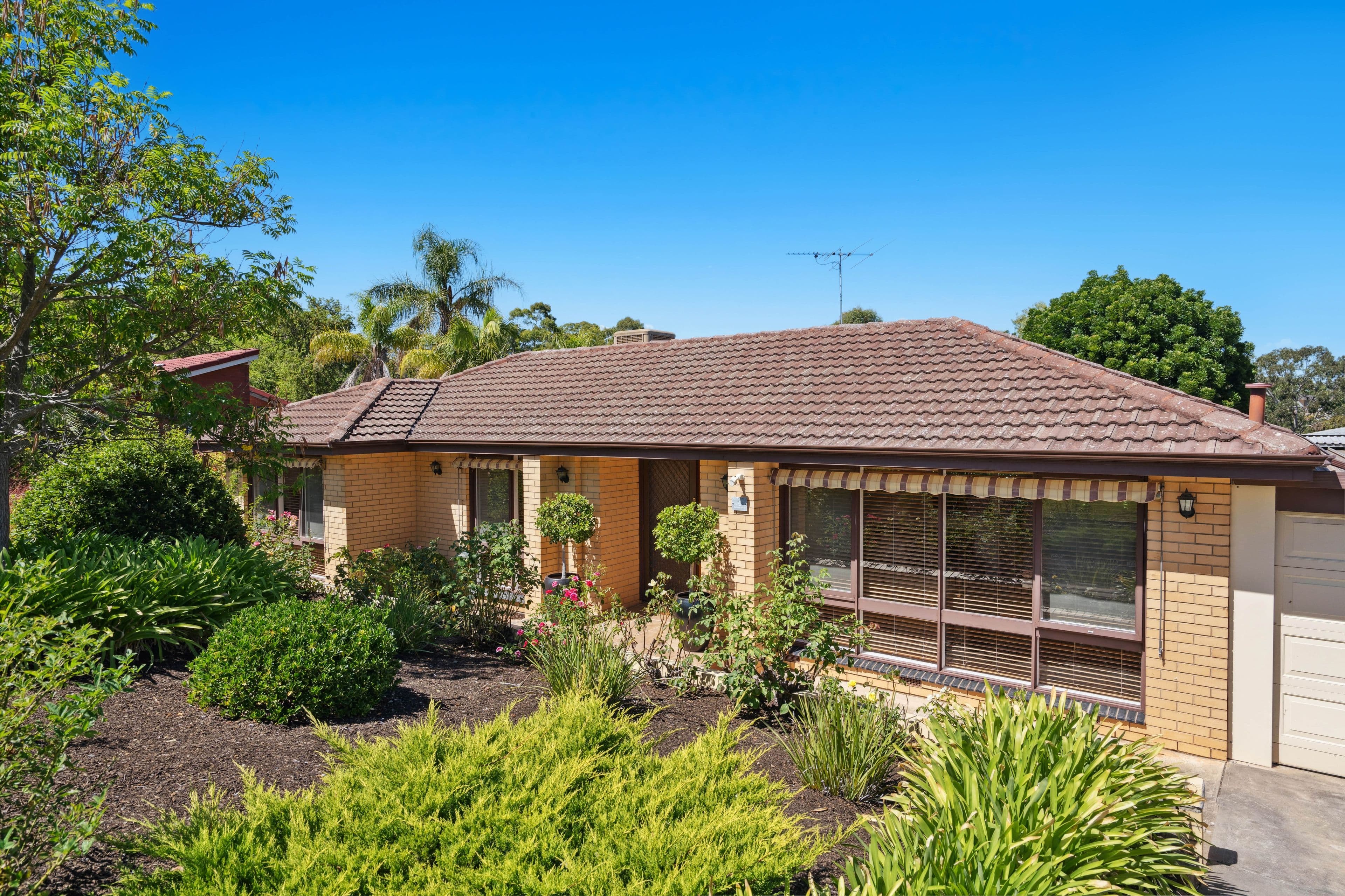 4 Buchanan Grove, Reynella East SA 5161, Reynella East - Thumbnail 2