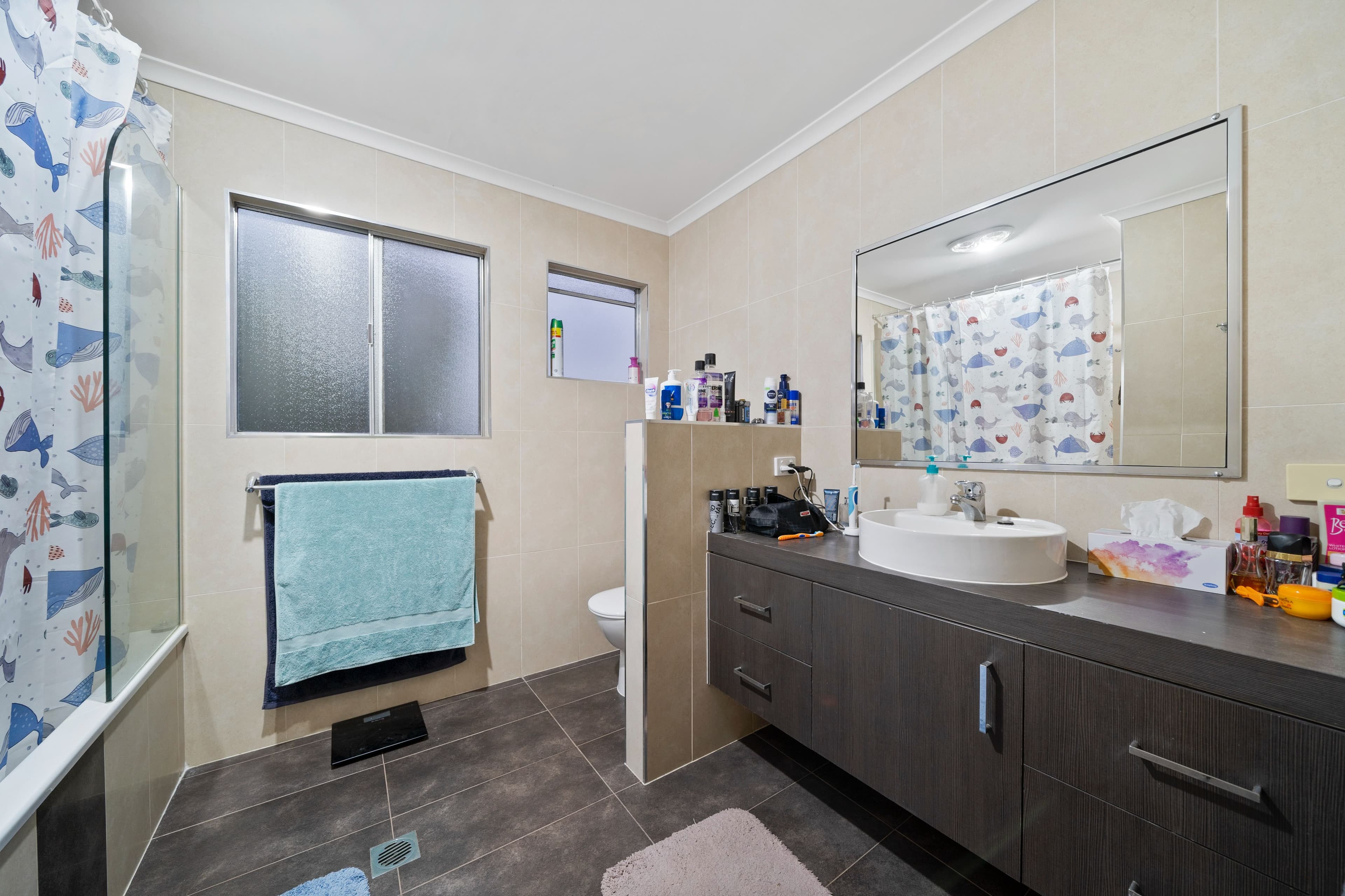 17 Sunrise Street, Beenleigh QLD 4207, Beenleigh - Thumbnail 6