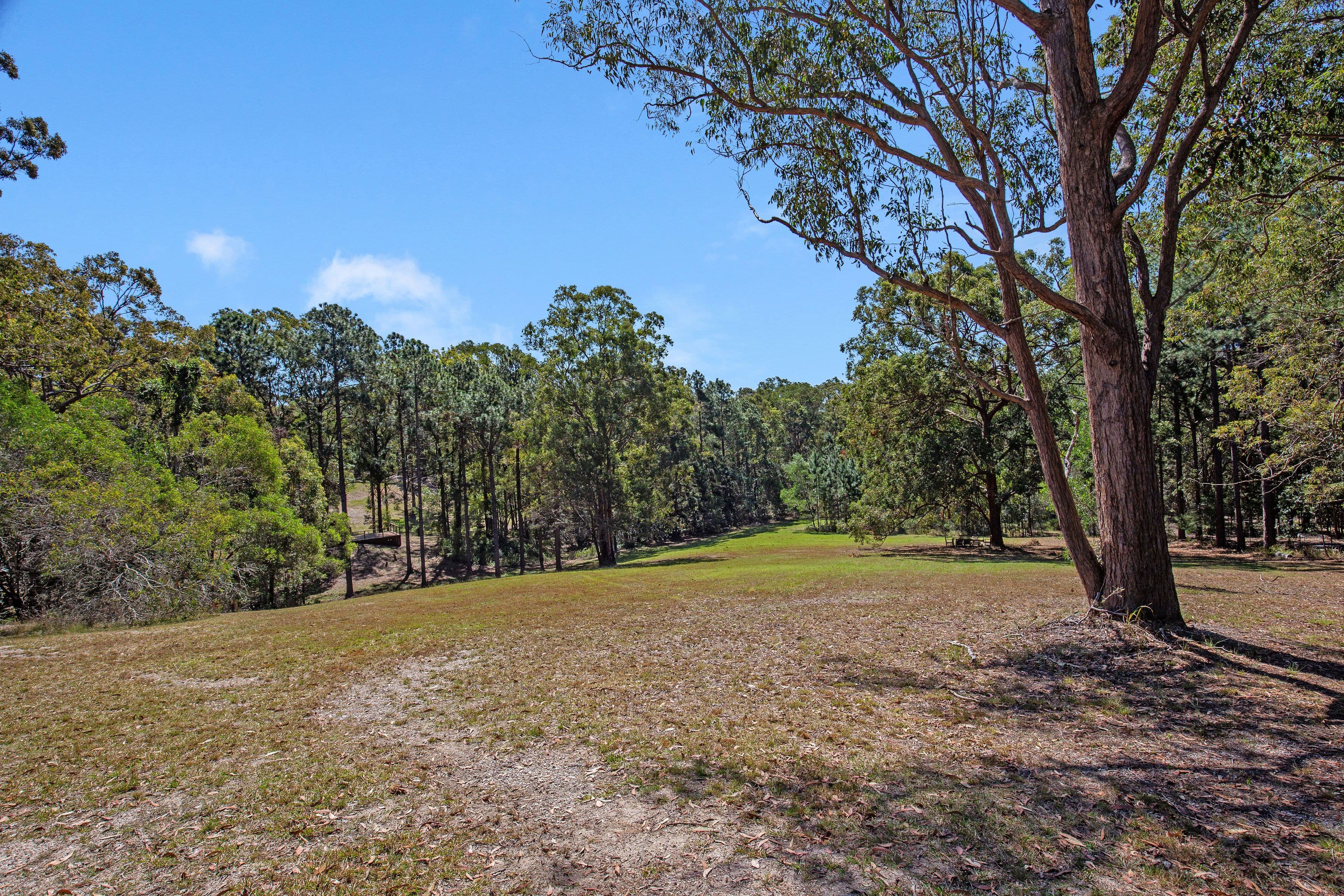 190 Dennis Road, Springwood QLD 4127, Springwood - Thumbnail 3