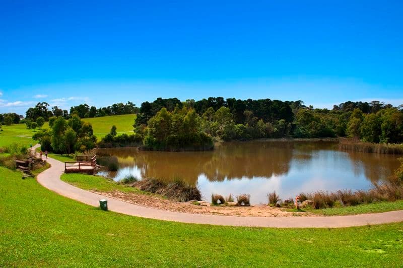 4 Martin Court, DONCASTER VIC 3108, Doncaster - Thumbnail 5