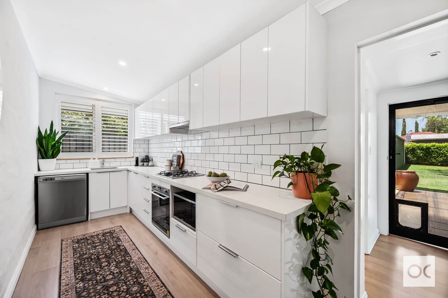 13 Ayers Avenue, Daw Park - Thumbnail 4