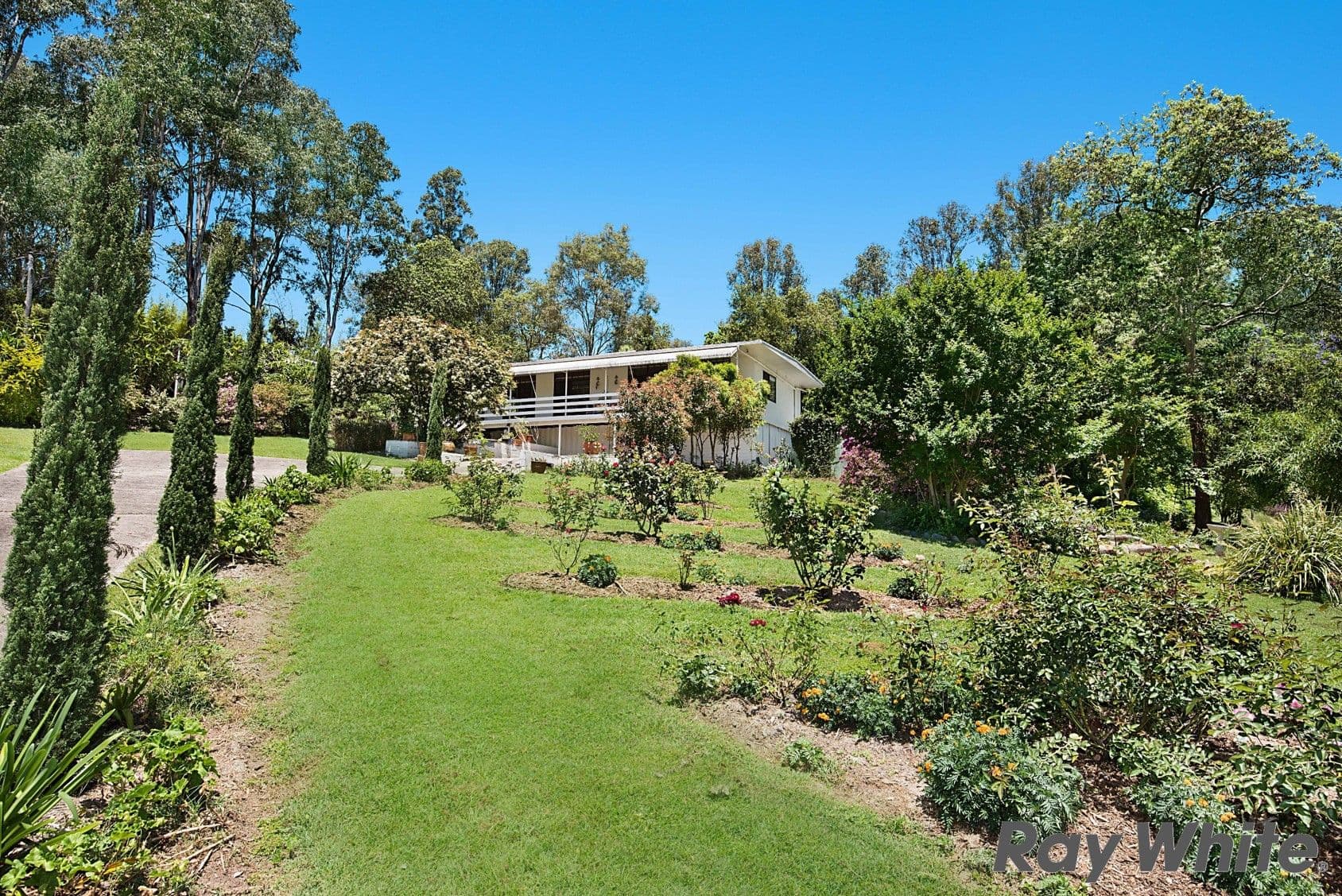 1655 Maleny Kenilworth Road, Conondale QLD 4552, Conondale - Image 1