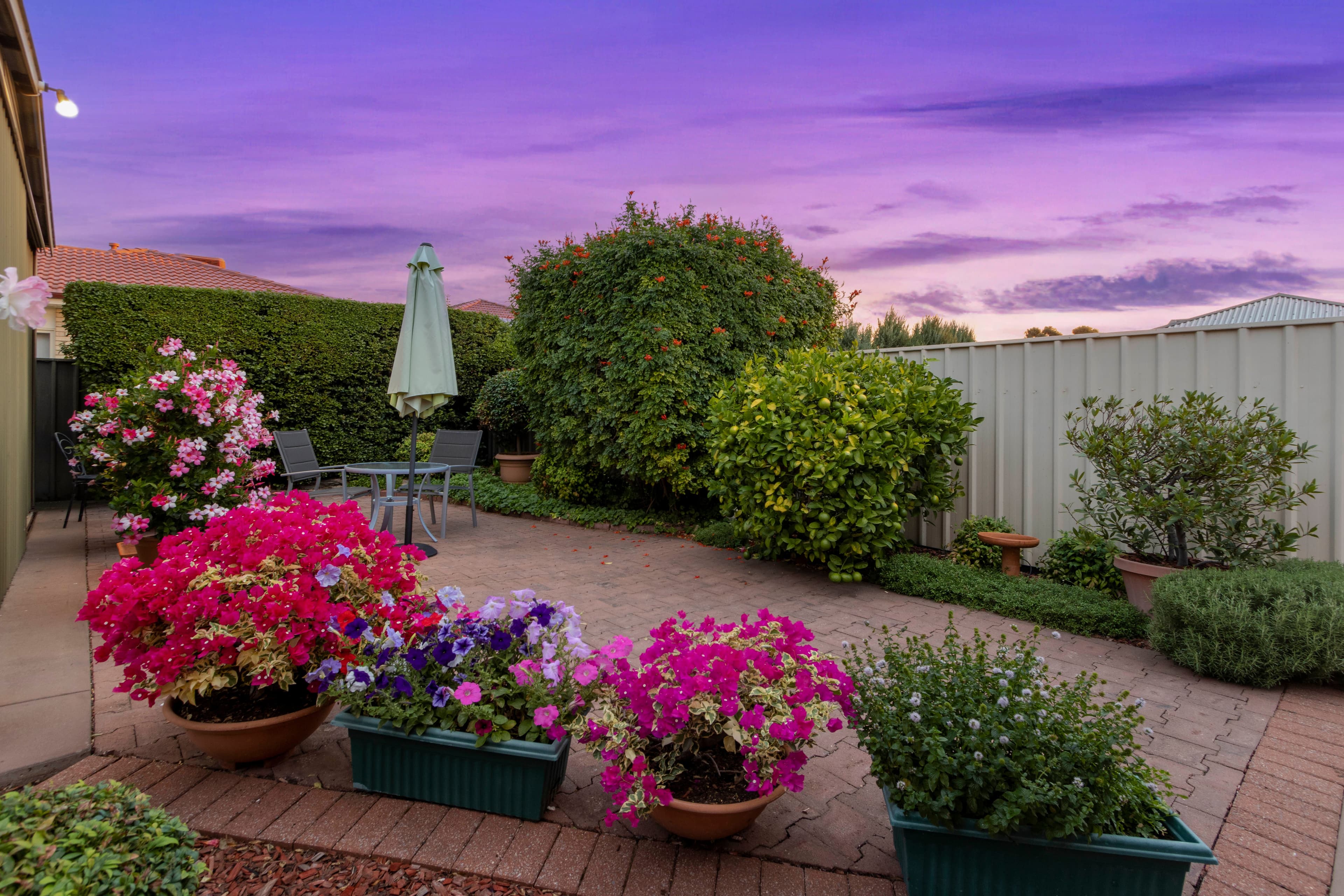 2B Hancock Avenue, Campbelltown SA 5074, Campbelltown - Thumbnail 8