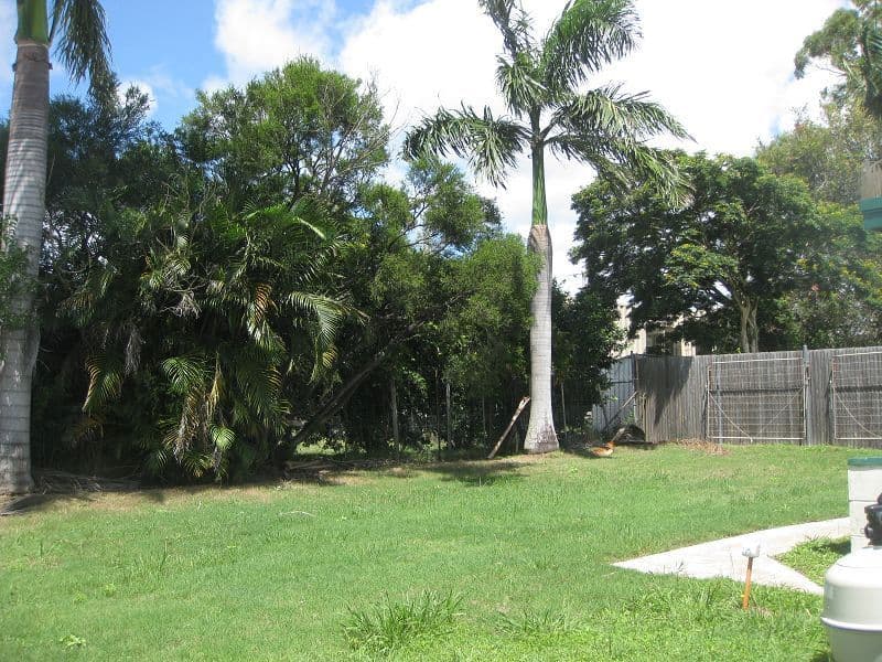 285 Troughton Road, COOPERS PLAINS QLD 4108, Coopers Plains - Thumbnail 5