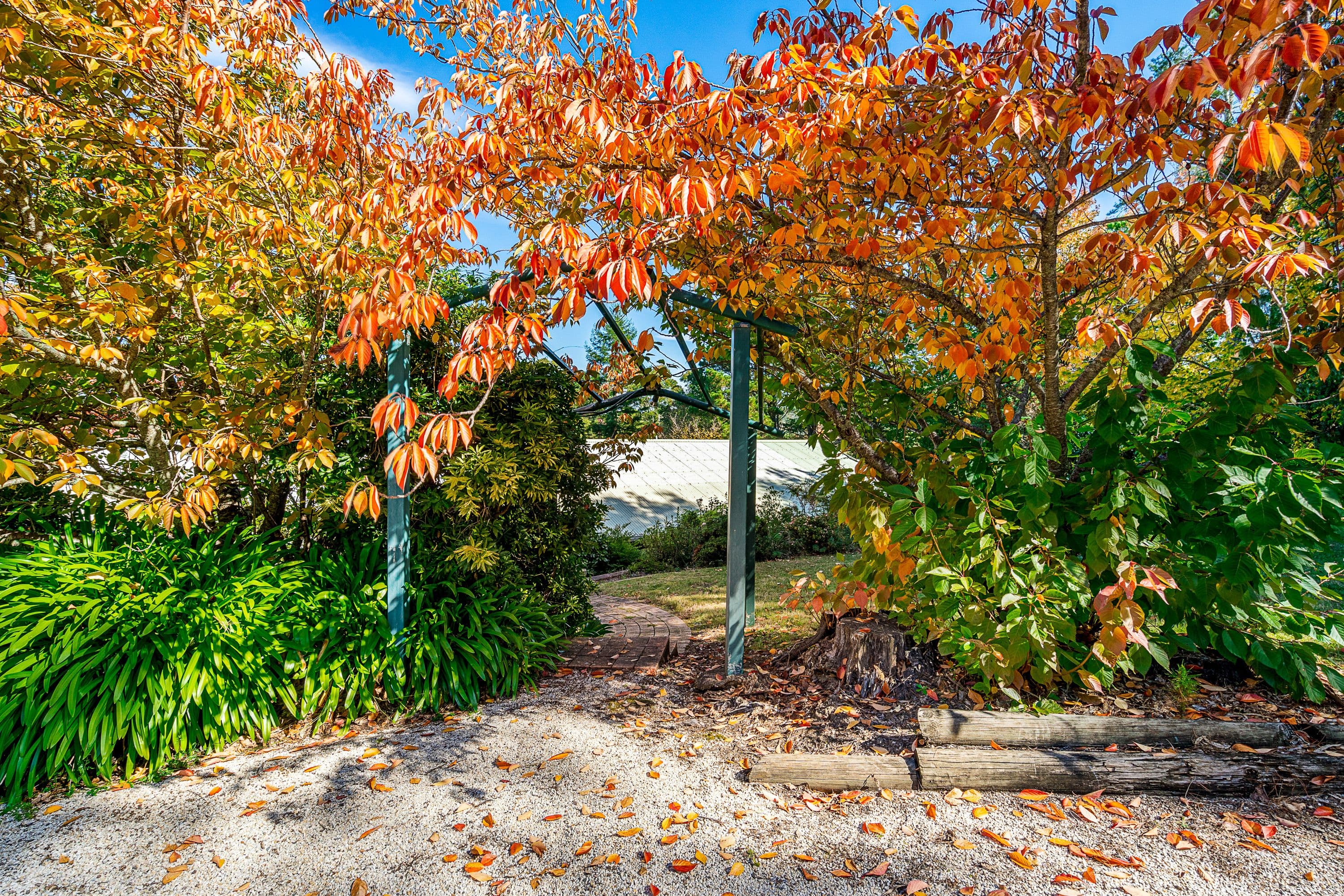 2995 Bells Line Of Road, Bilpin NSW 2758, Bilpin - Image 1