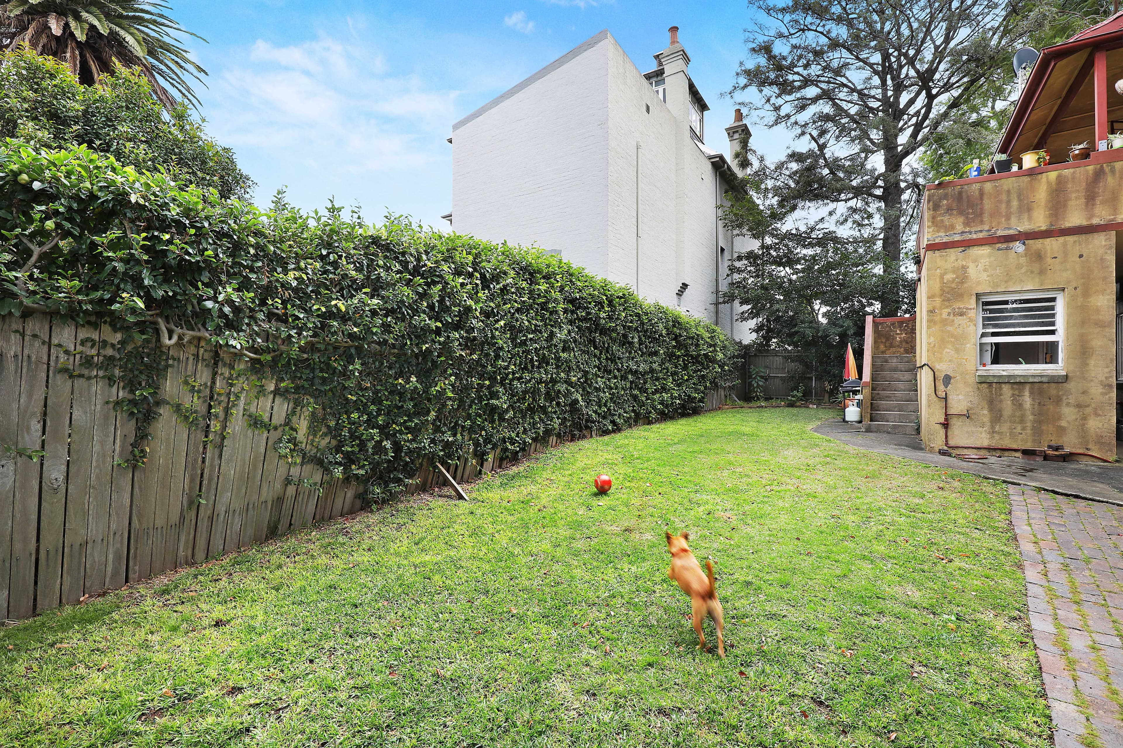 274 Stanmore Road, Petersham NSW 2049, Petersham - Thumbnail 8