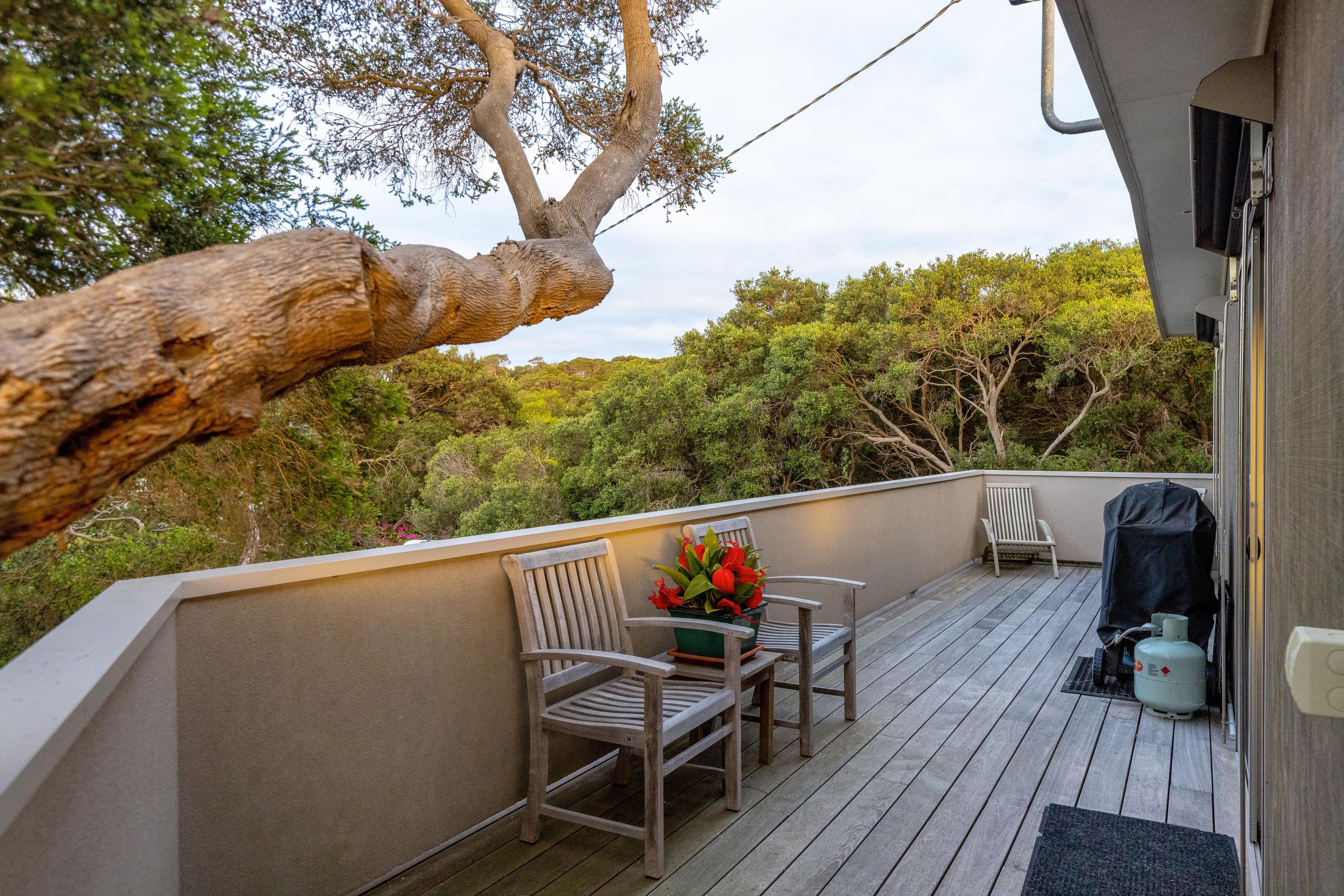 19 Nalong Street, Rye VIC 3941, Rye - Thumbnail 2