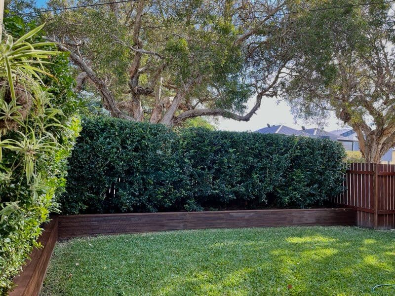 249 Riding Road, Balmoral QLD 4171, Balmoral - Thumbnail 6
