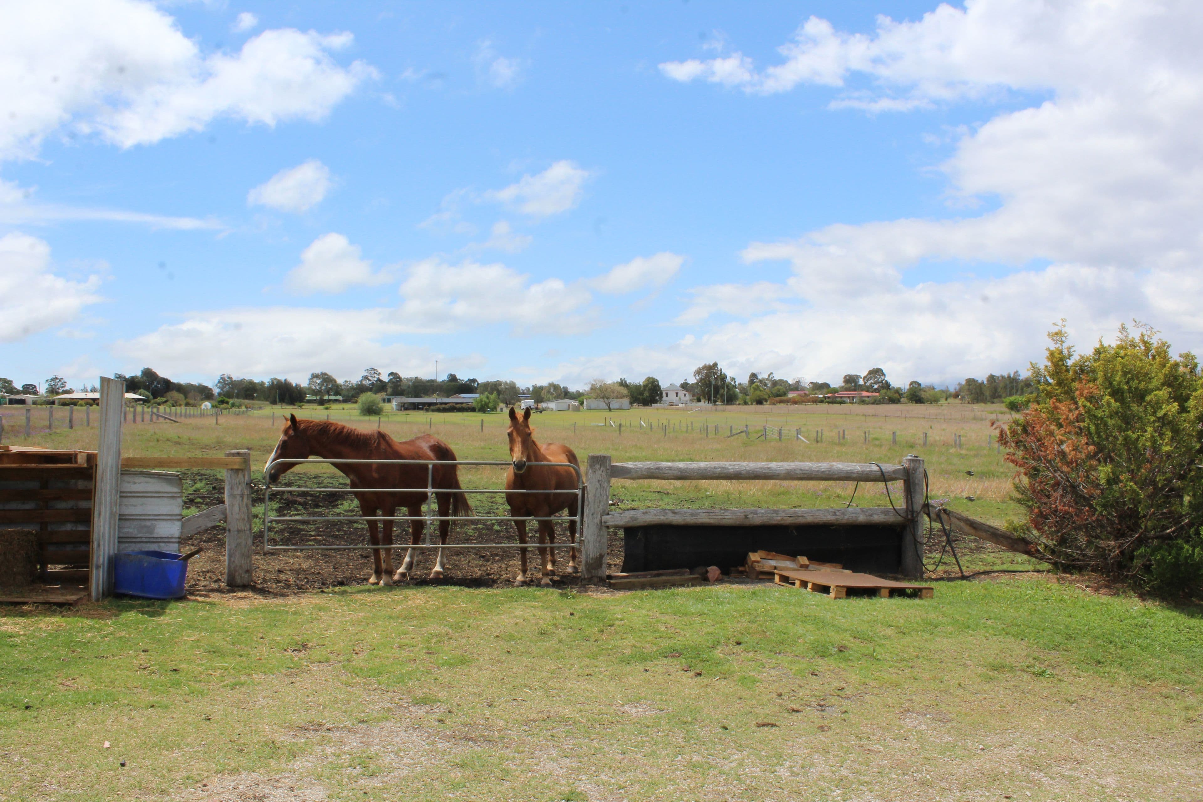 633 Hendon Mt Marshall Road, Mount Marshall QLD 4362, Mount Marshall - Thumbnail 4