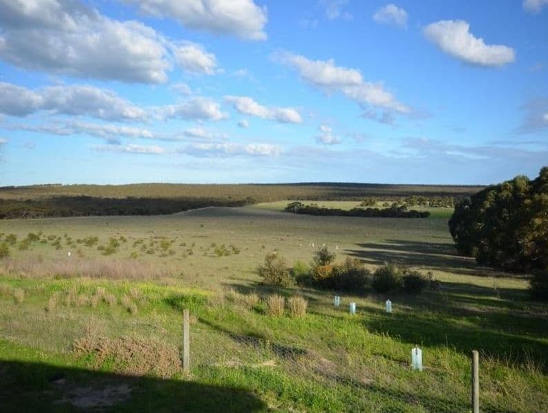 1091 Ferries McDonald Road, Monarto SA 5254, Monarto South - Image 1