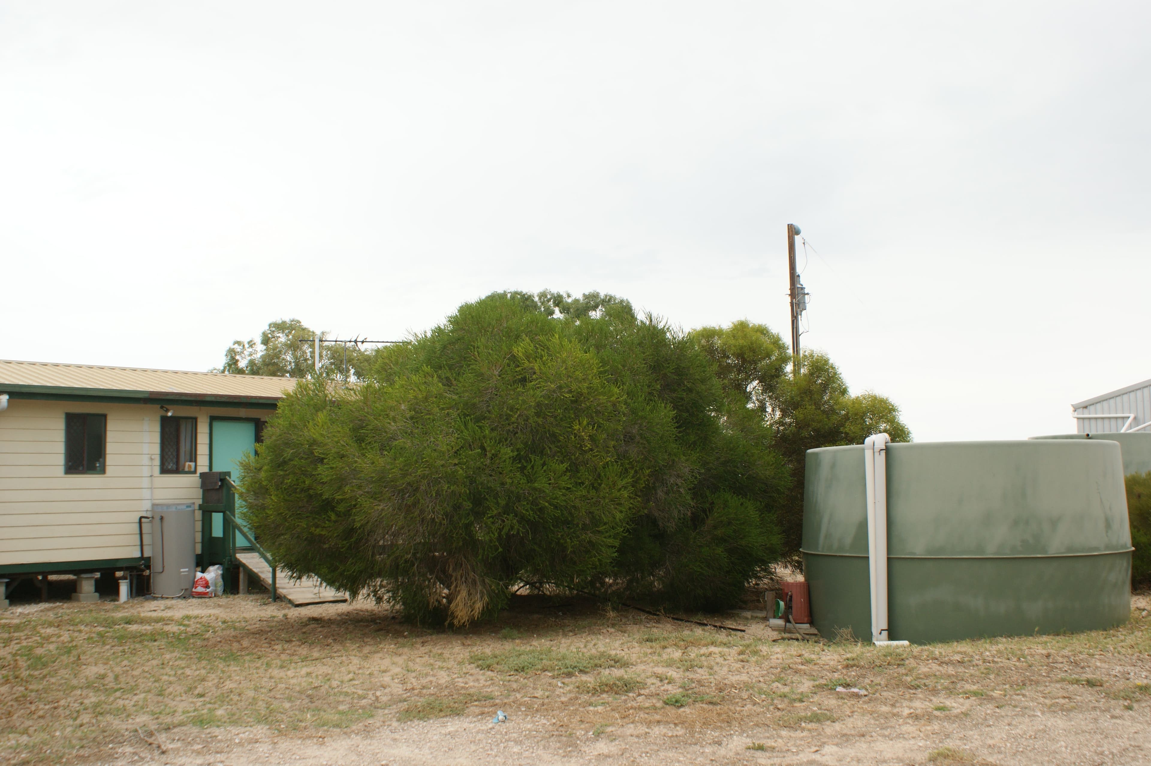 1091 Ferries McDonald Road, Monarto SA 5254, Monarto South - Thumbnail 6
