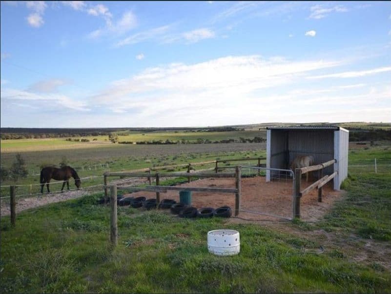 1091 Ferries McDonald Road, Monarto SA 5254, Monarto South - Thumbnail 7
